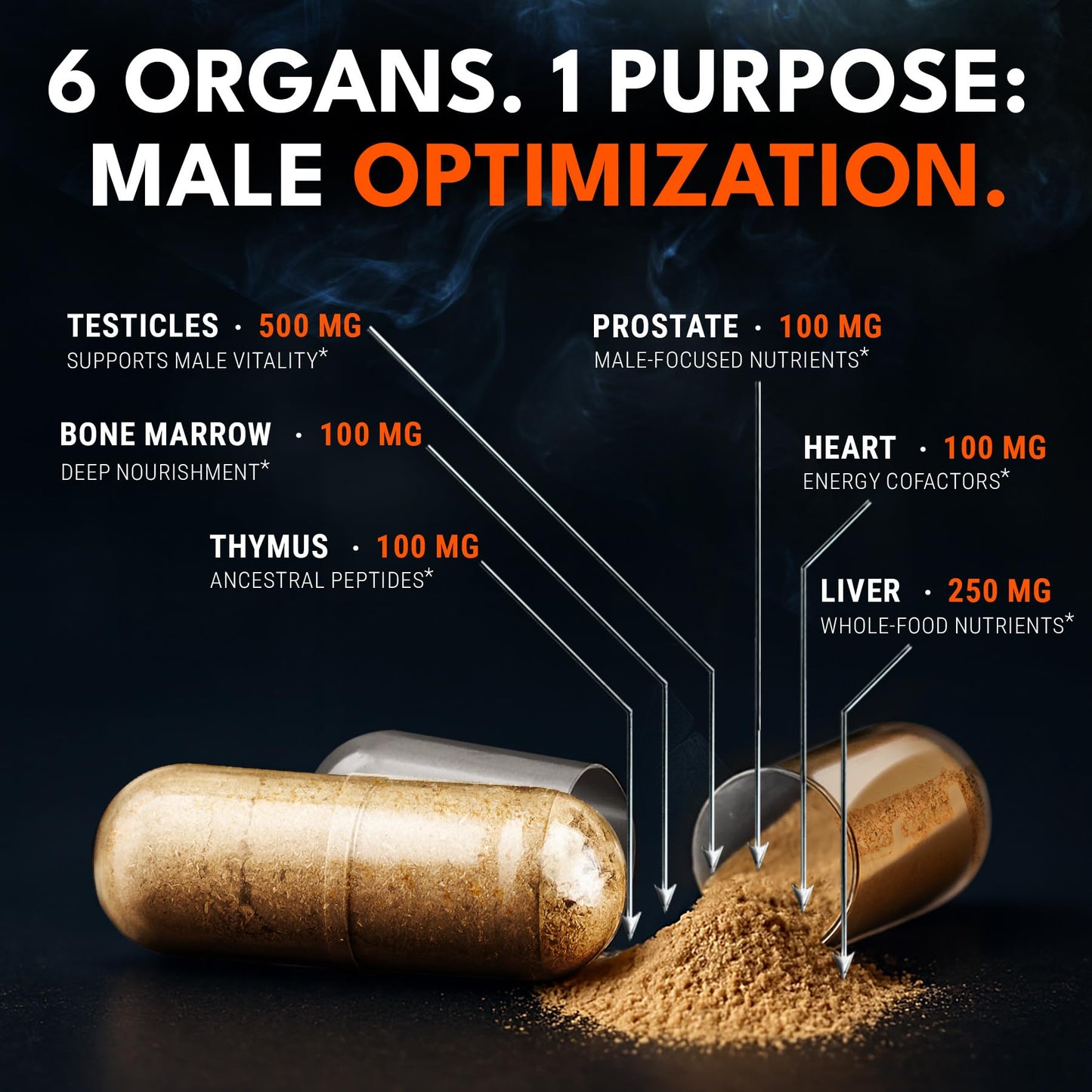 IRONCLAD NUTRITION Men's Performance Stack – Beef Organ Complex + Testosterone Supplement – Grass Fed Organs & 15-in-1 Test Support with Tongkat Ali, Ashwagandha, Shilajit, 240 Capsules