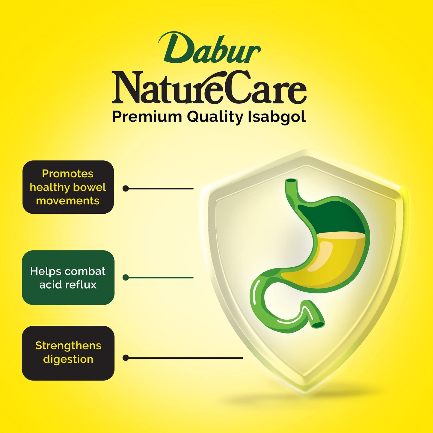 Dabur Nature Care Isabgol Tablet 1