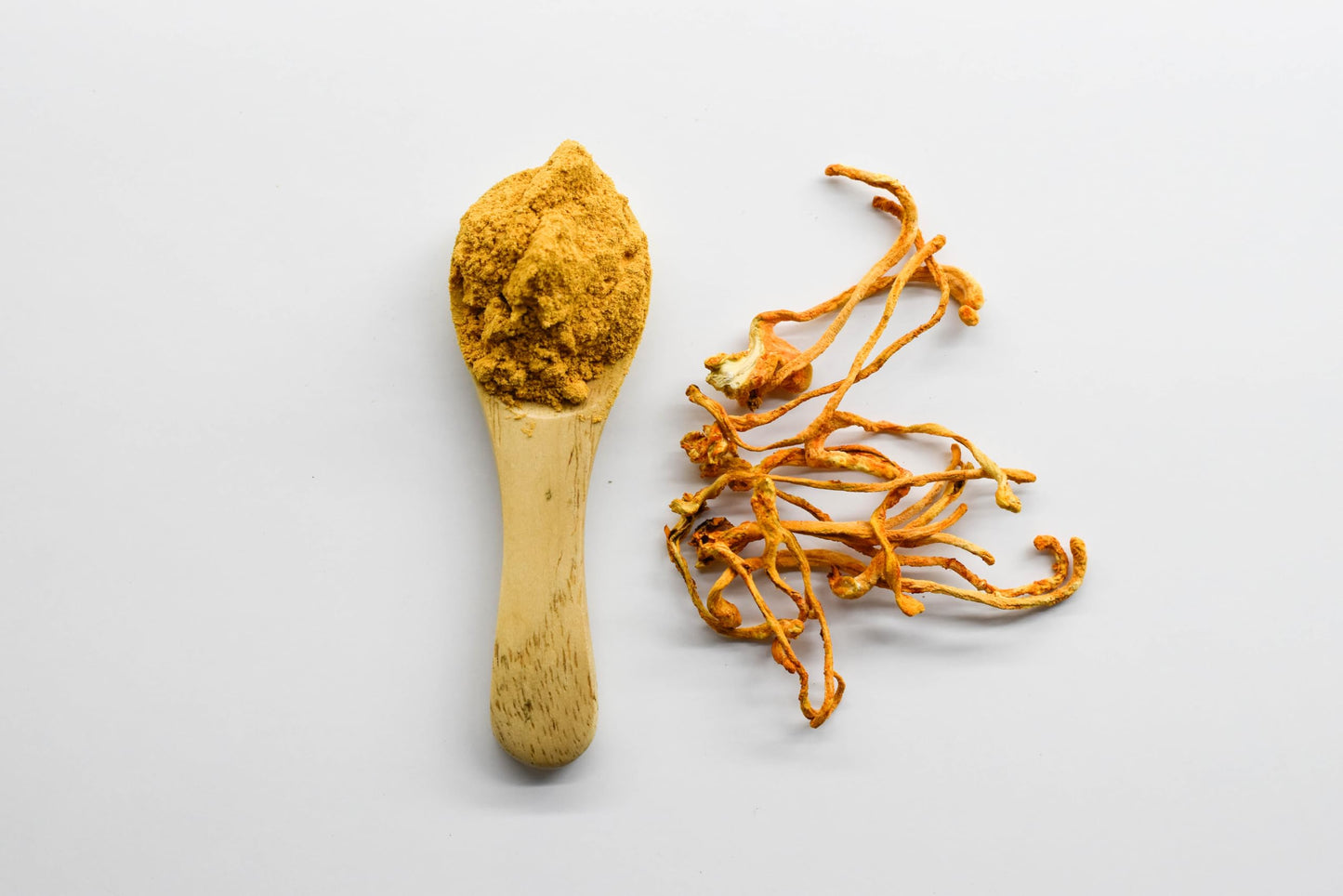 Terrasoul Superfoods Cordyceps Powder 5.5 oz