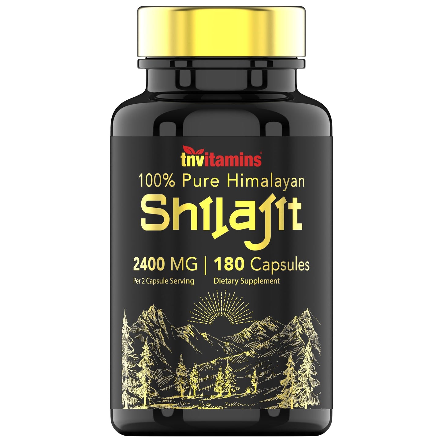 tnvitamins Shilajit Capsules 2400 MG Capsule 180 Count