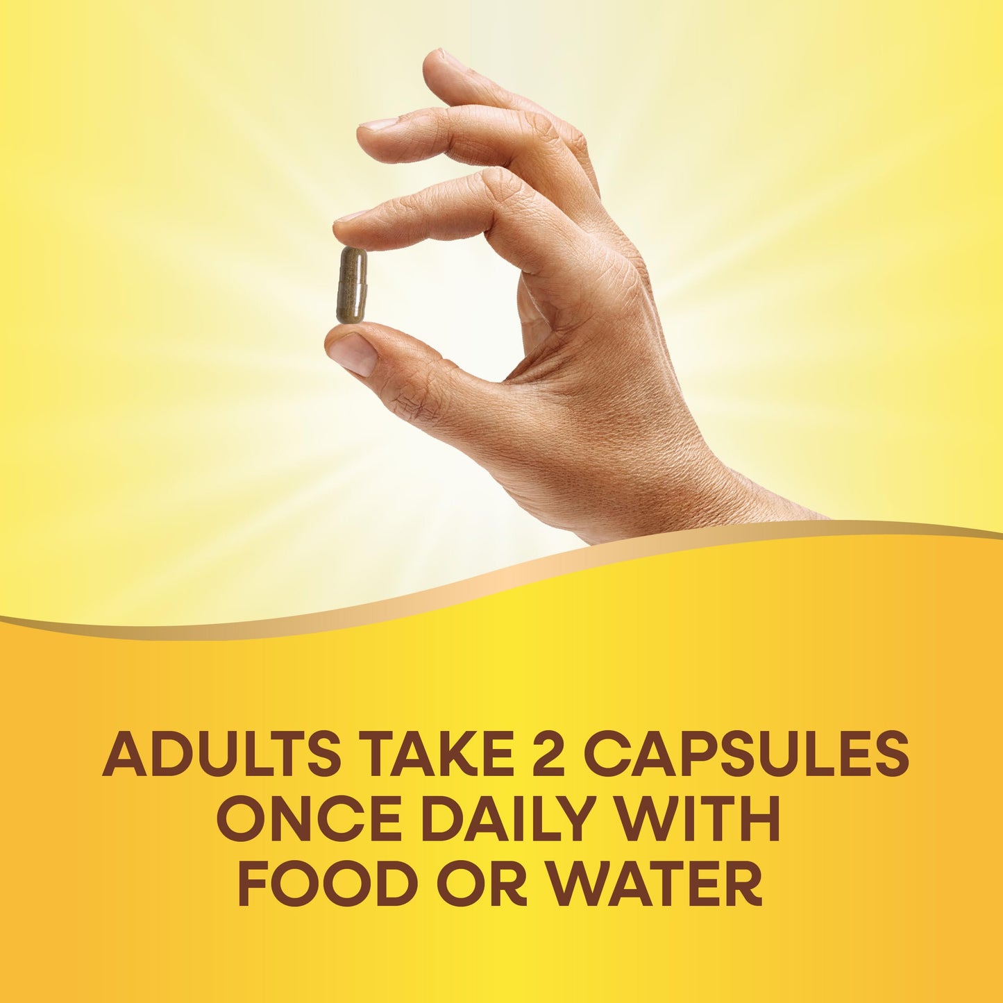 Nature's Way Ginkgo Premium Extract Capsules, 60 Capsules