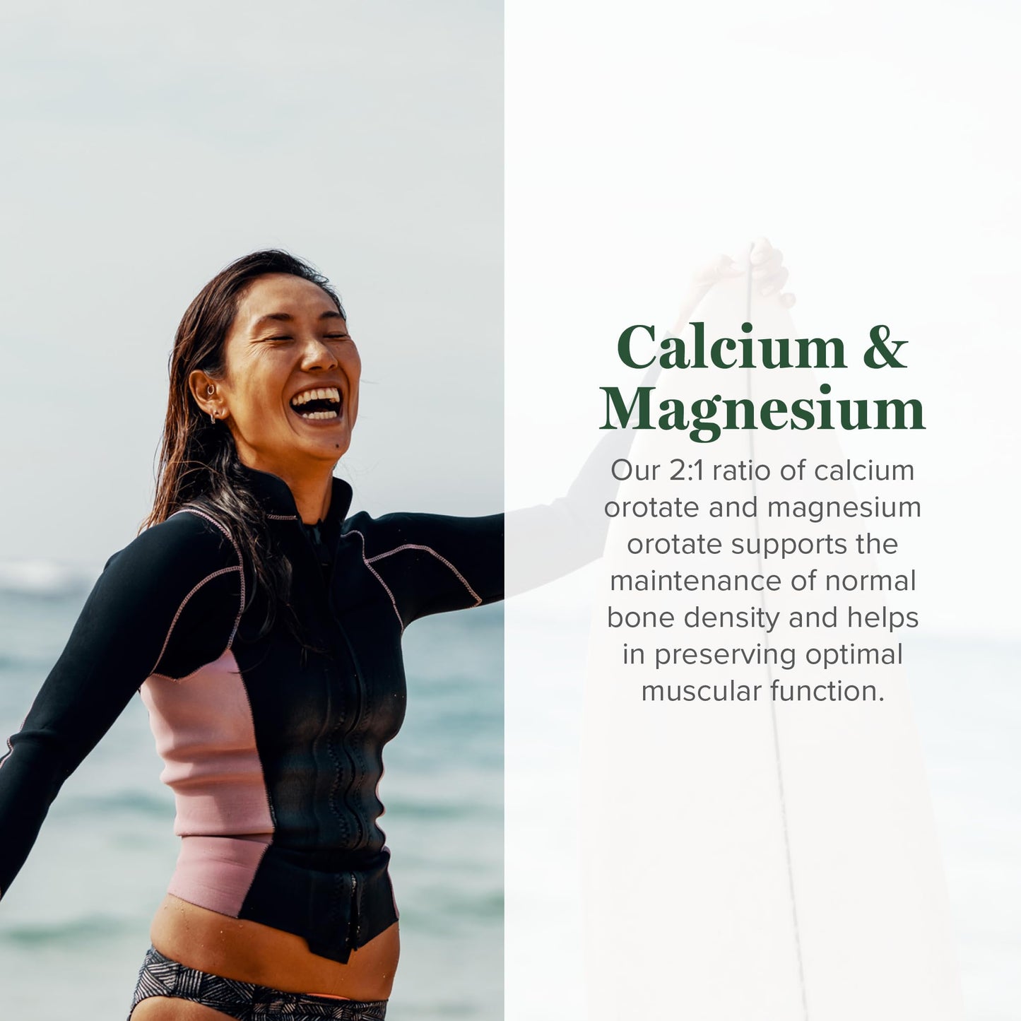 Global Healing Center Calcium and Magnesium Orotate 90 Capsules