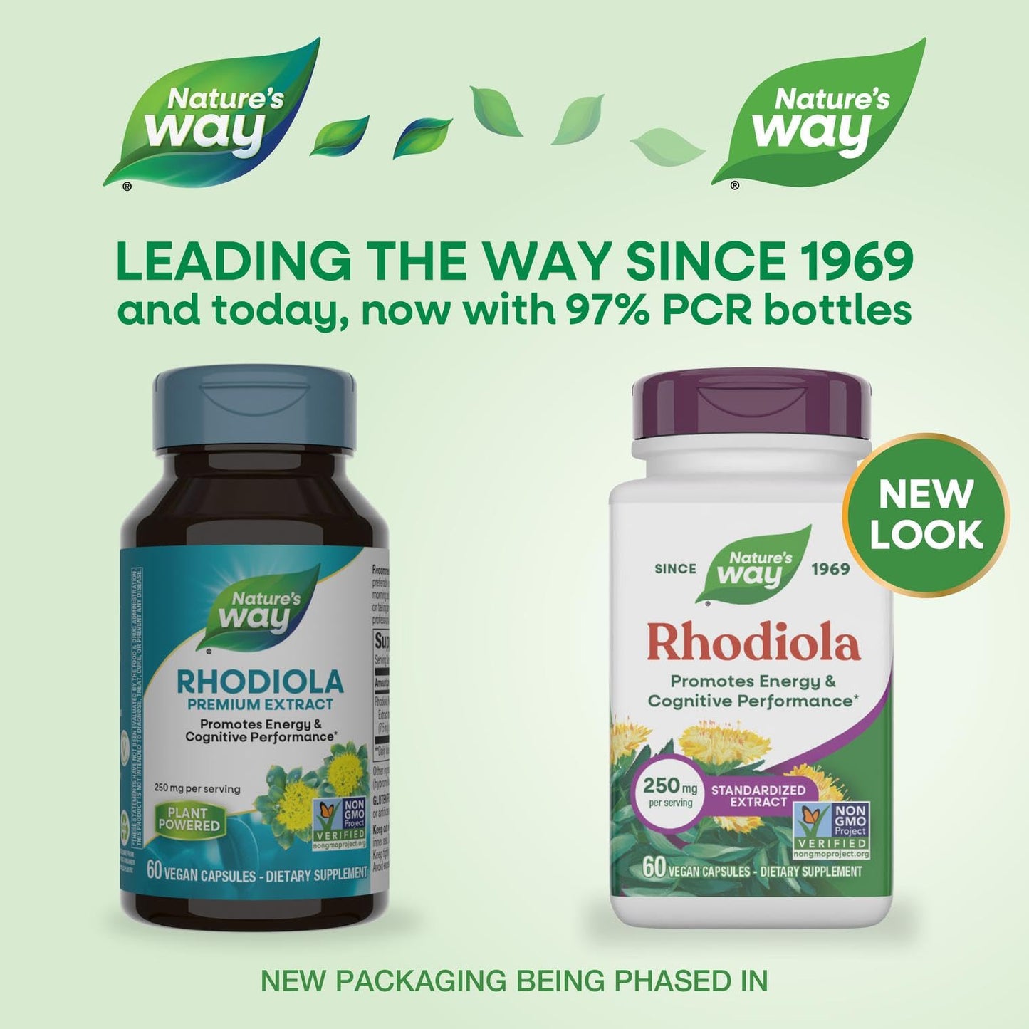 Nature's Way Rhodiola 250mg Capsules for Cognitive Performance & Energy Support, 60 Count