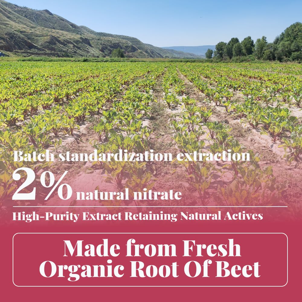 VEGEPEDIA 2% Nitrate Organic Beetroot Extract Powder, 16 Ounce