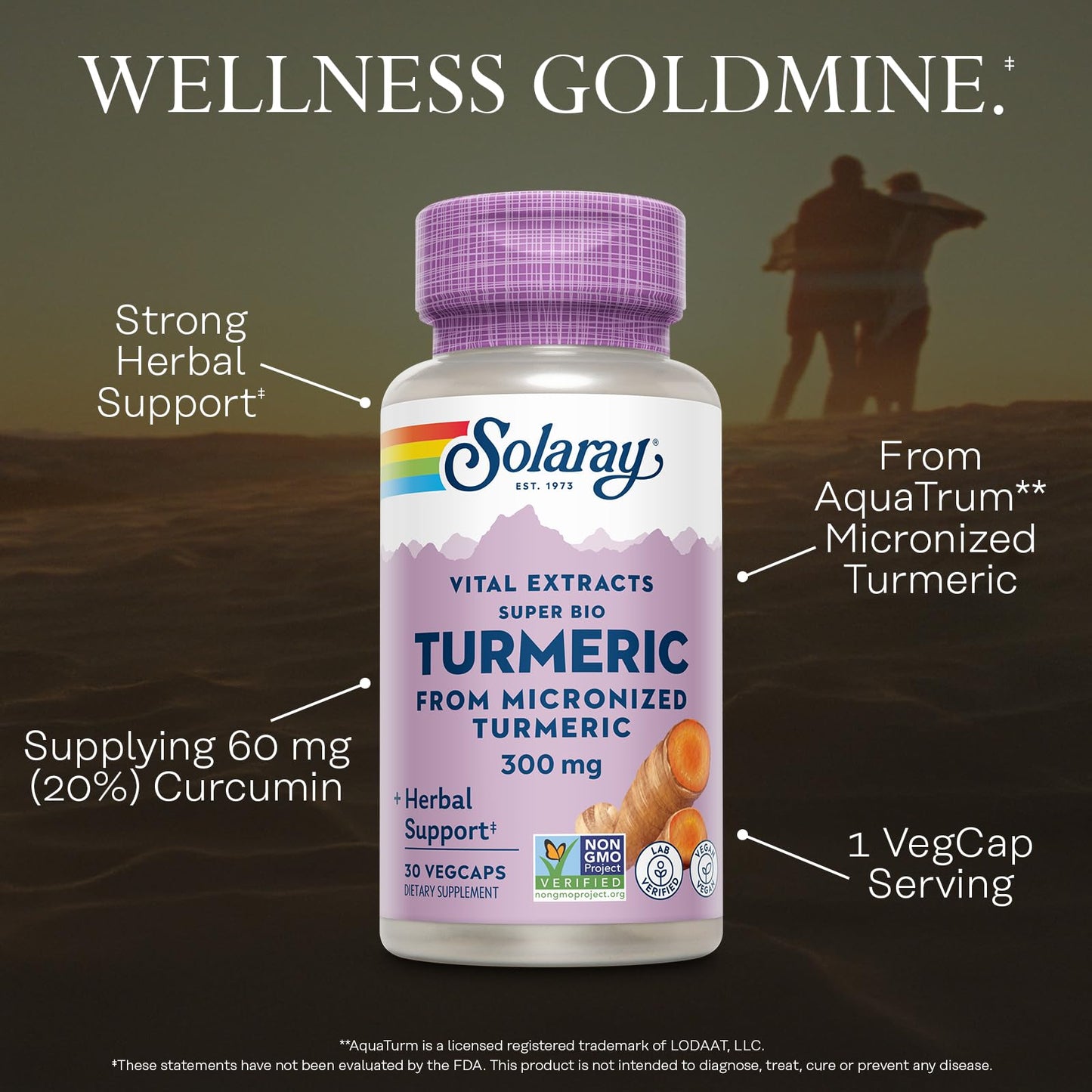 Solaray Super Bio Turmeric Curcumin Supplement 300mg Micronized Turmeric Root Extract 20% Curcumin Capsules, 30 Count