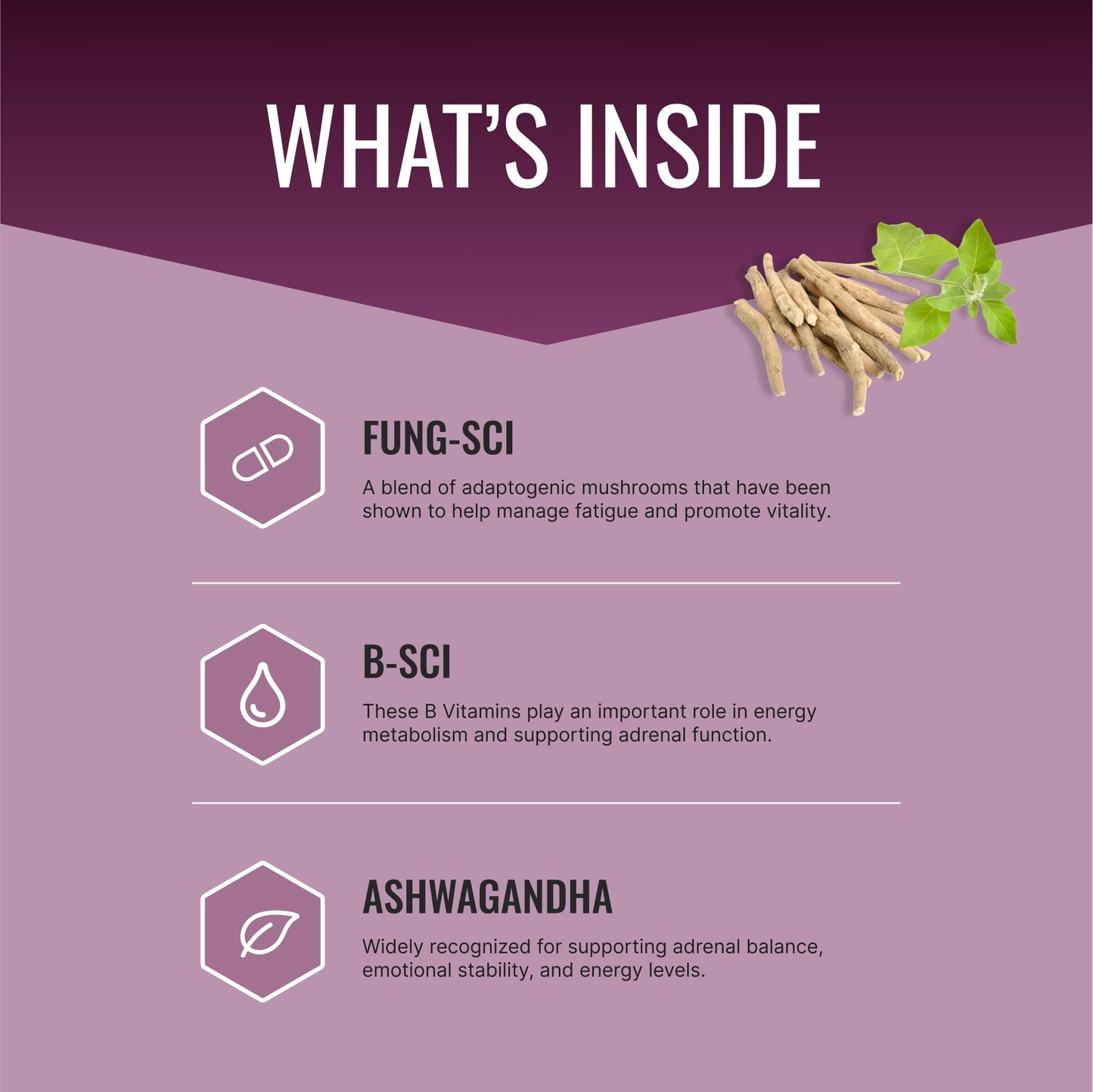 Approved Science Adrenasyl Adrenal Gland Support 180 Capsules