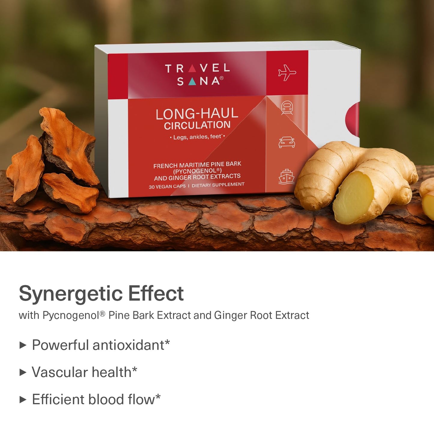 TRAVELSANA Pycnogenol 100 mg & Ginger Root Extract Capsules, 30 Count