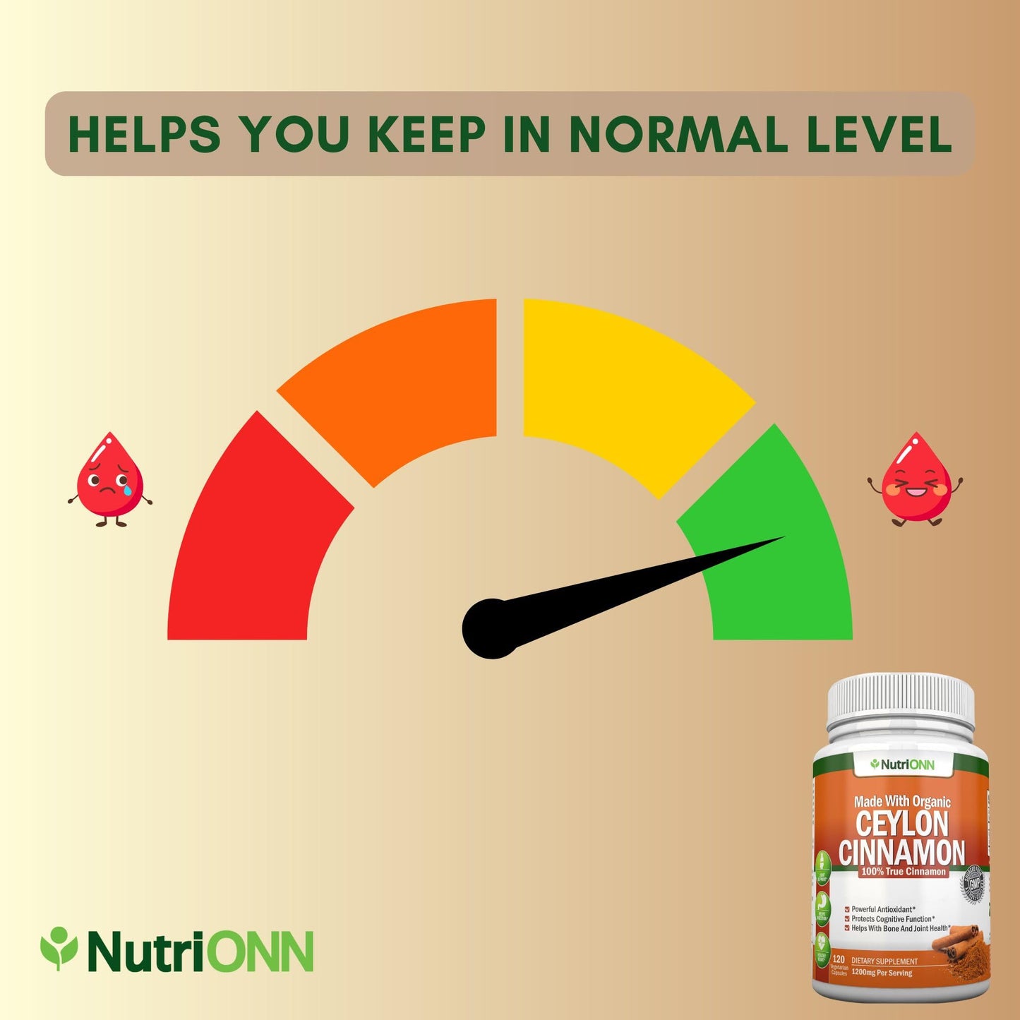 NutriONN Organic Ceylon Cinnamon 1200 mg Capsules, 120 Count