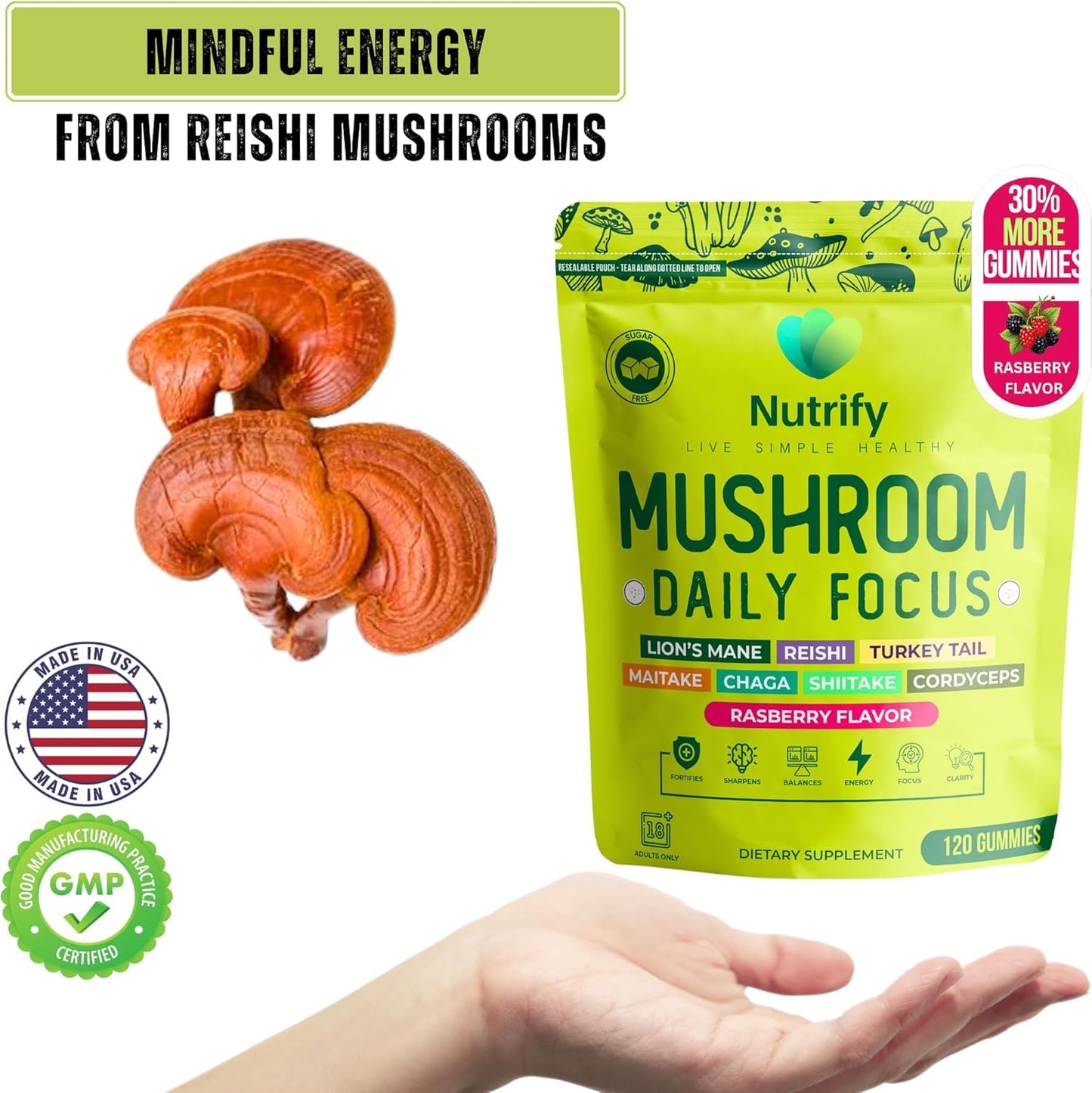 Nutrify Mushroom Gummies Immune Support & Brain Performance Resilience & Memory Boost with Reishi, Cordyceps, Turkey Tail, Maitake, Shiitake & Chaga Raspberry Flavor Vegan & Sugar Free, 120 Gummies