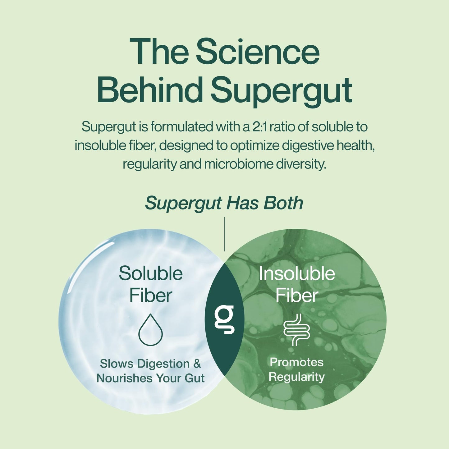 Supergut Foundational Daily Fiber Powder 5.5 oz