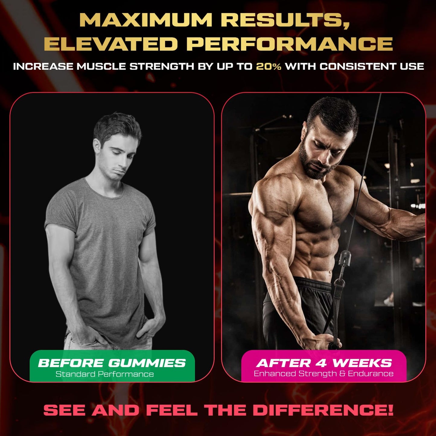 ZyterX Creatine Monohydrate Gummies for Men & Women 240