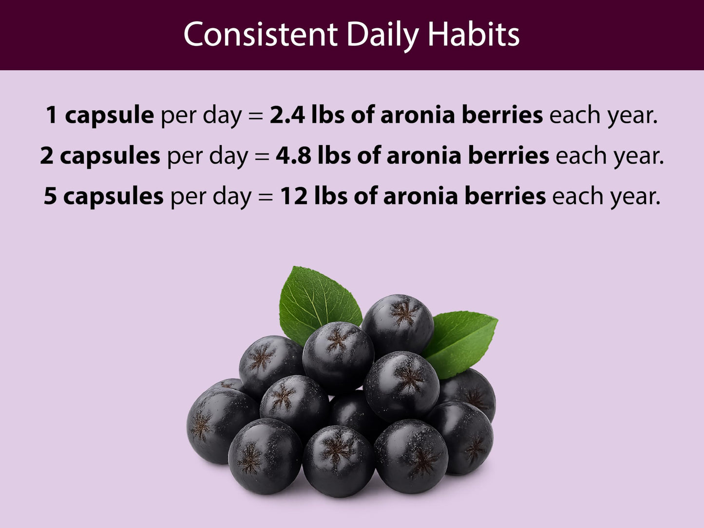 KOYAH Organic Aronia Capsules Capsule, 60 Count