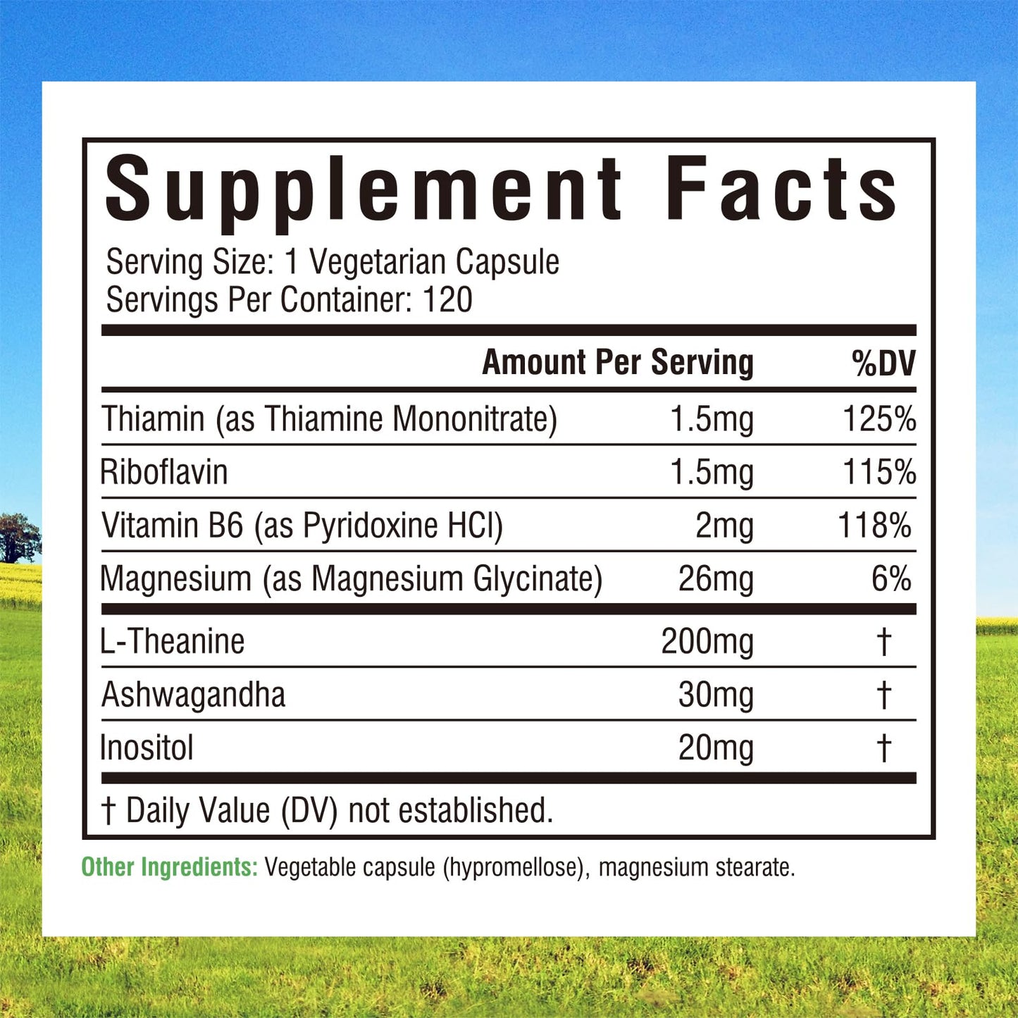 Innate Vitality L-Theanine Supplement 200 mg with Ashwagandha, Magnesium Glycinate, Inositol, Vitamin B6, Non-GMO, Hormone Harmony, Relaxation, Mental Performance and Energy Support, 120 Capsules