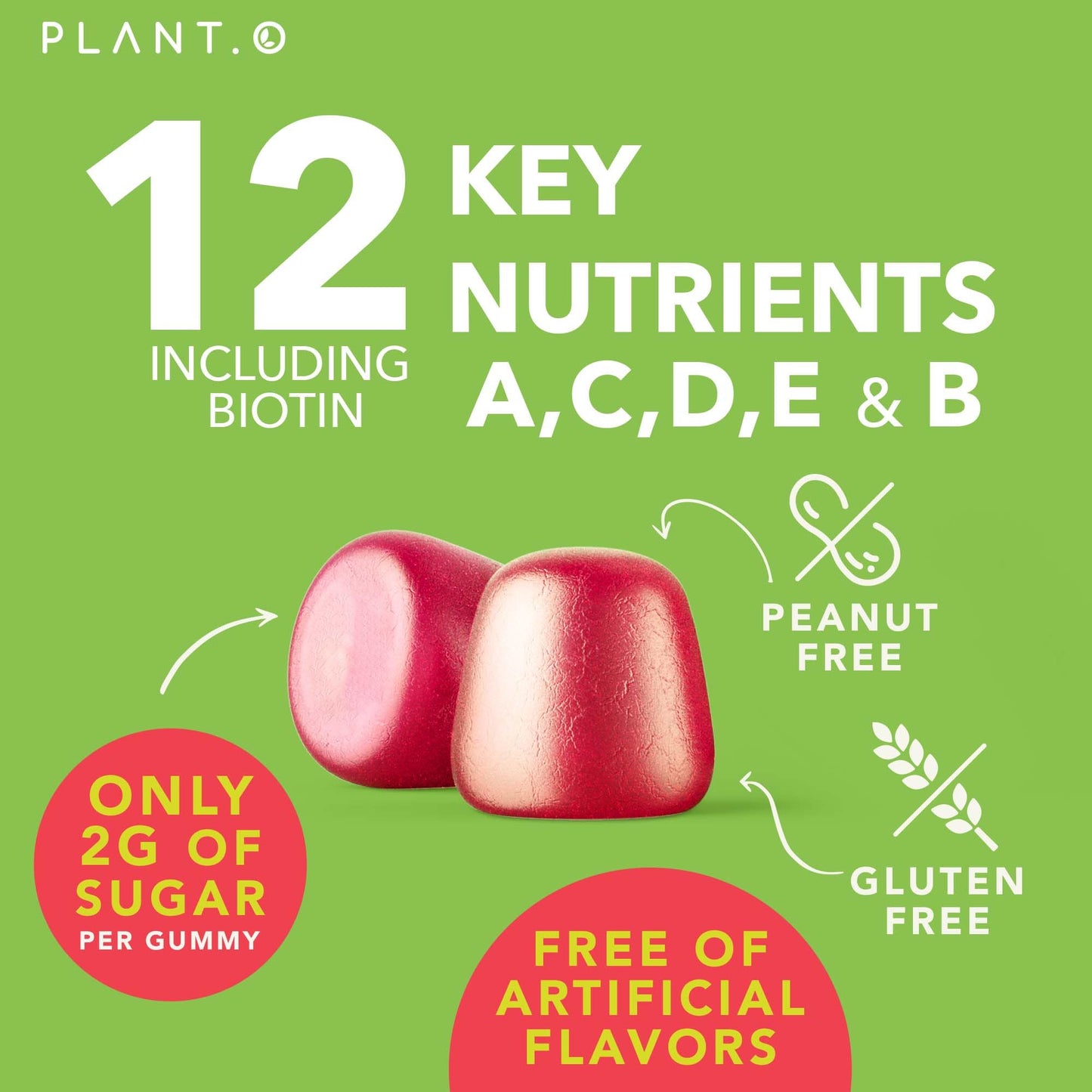 PLANT.O NUTRITION Complete Multivitamin Gummies for Adults – All-in-One Blend of Vitamin A B C D E Zinc and Biotin – 90 Gummies