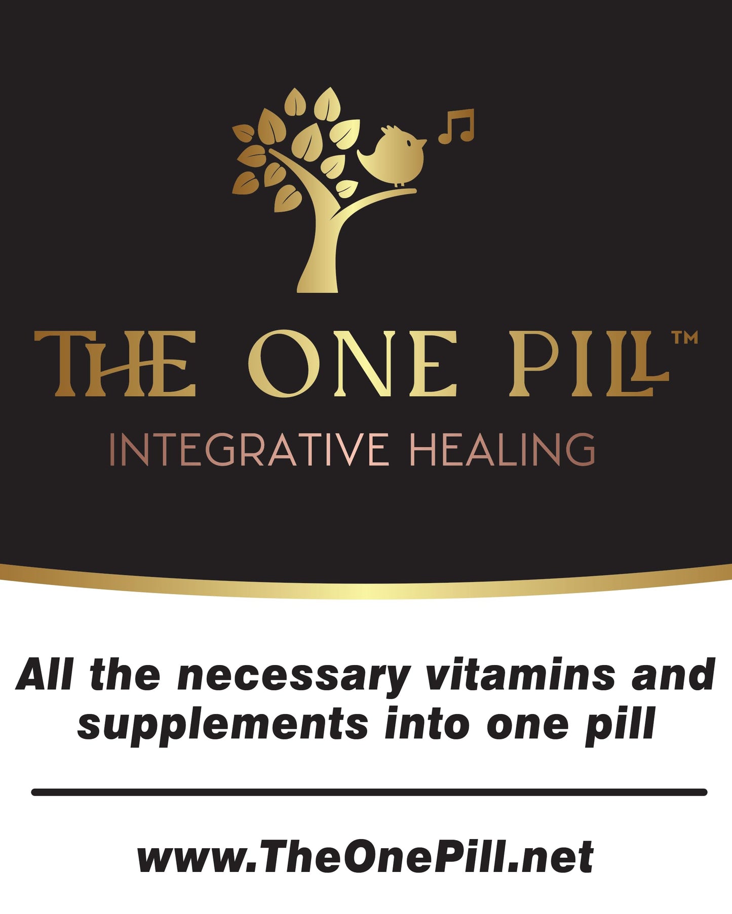 The One Pill Integrative Healing Vitamin B1 Thiamine Hydrochloride, 120 Capsules