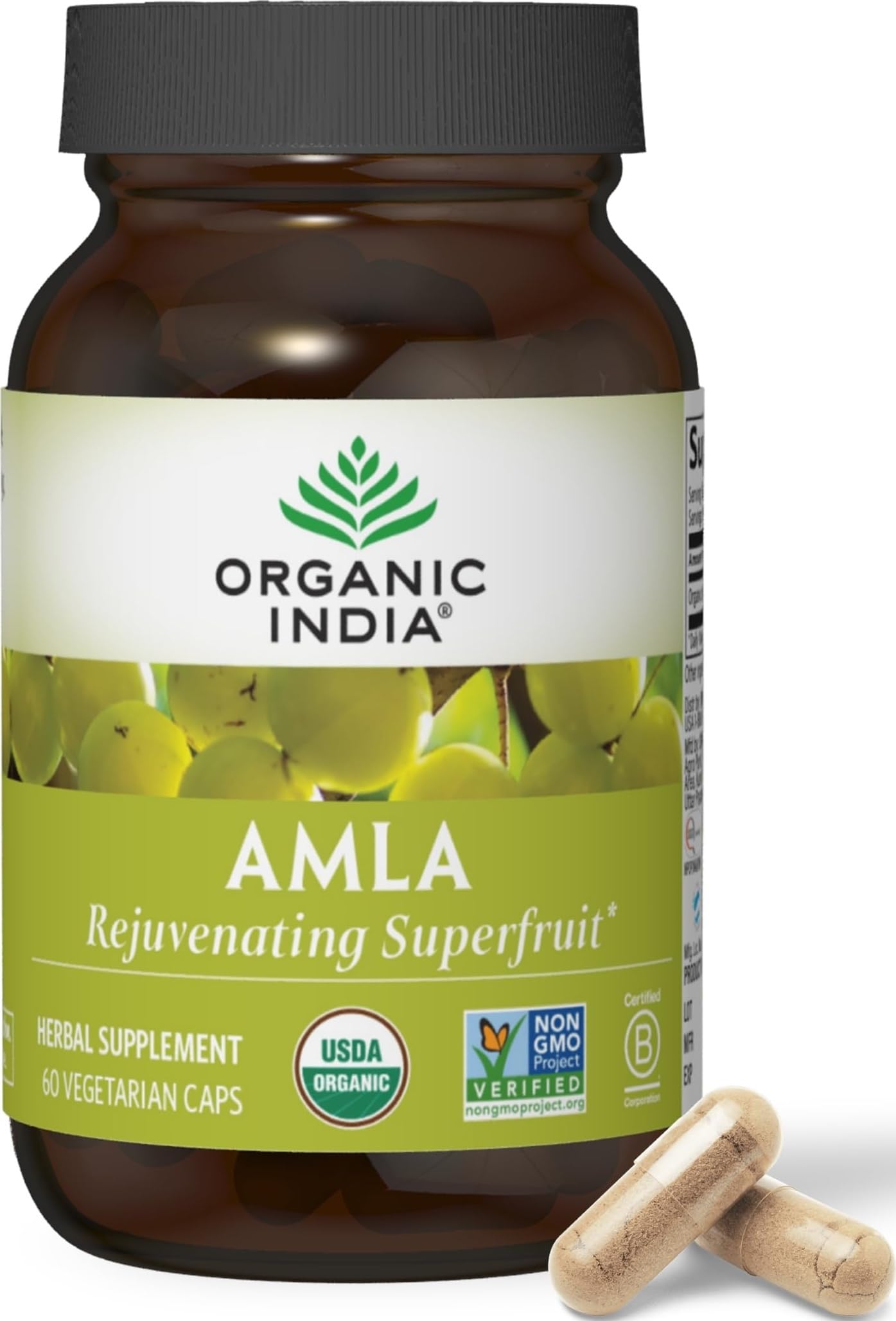 ORGANIC INDIA Amla 60 Capsules