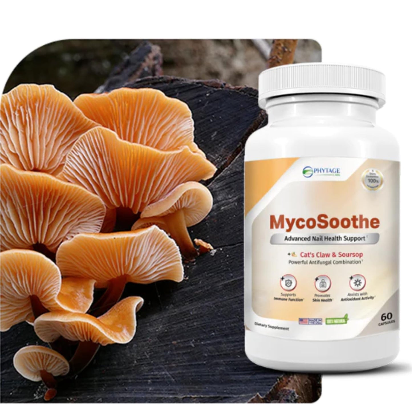 Phytage Labs MycoSoothe Advanced Hair, Skin, Nail & Immunity Support Formula 60 Capsules