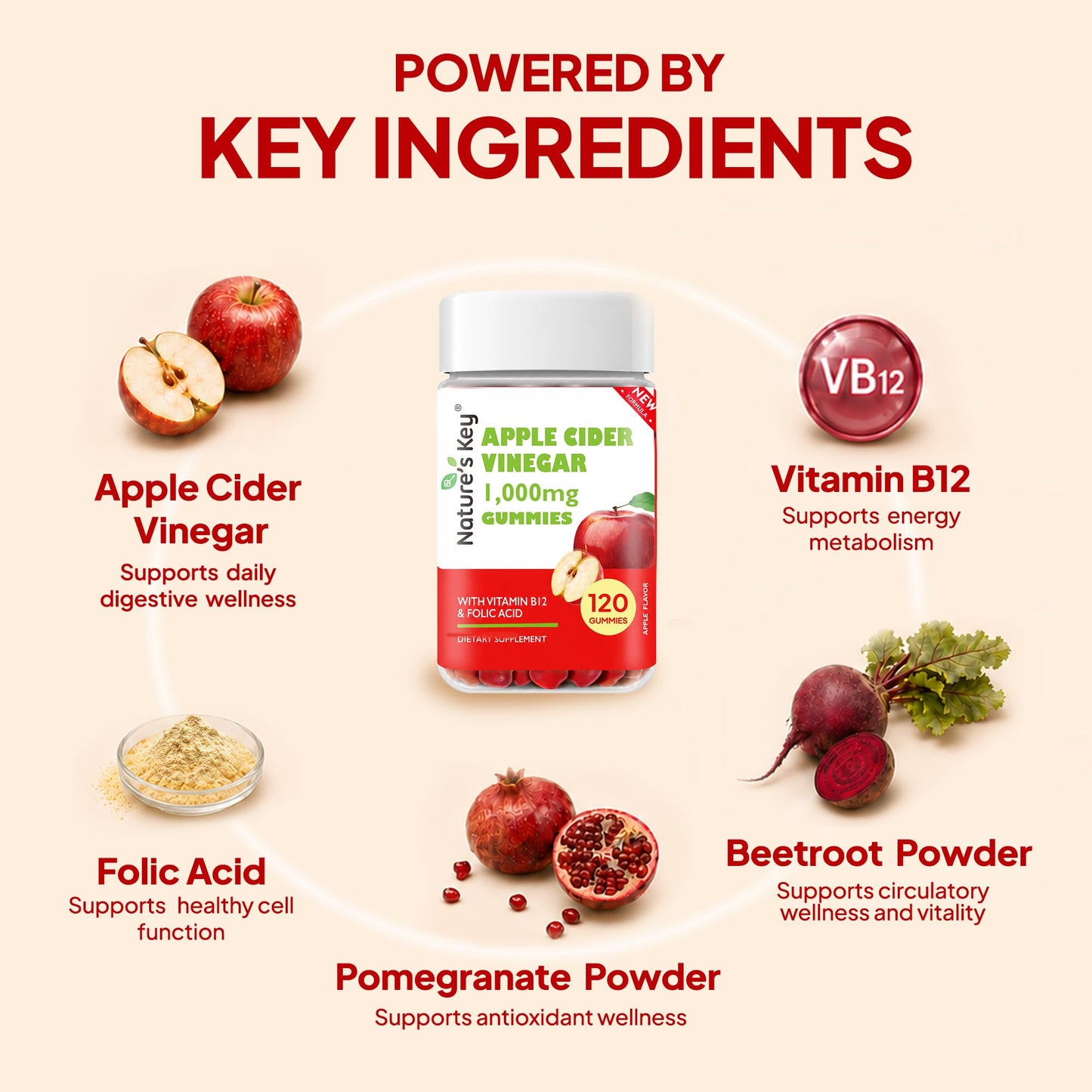 Nature's Key Apple Cider Vinegar Gummies, 120 Gummies