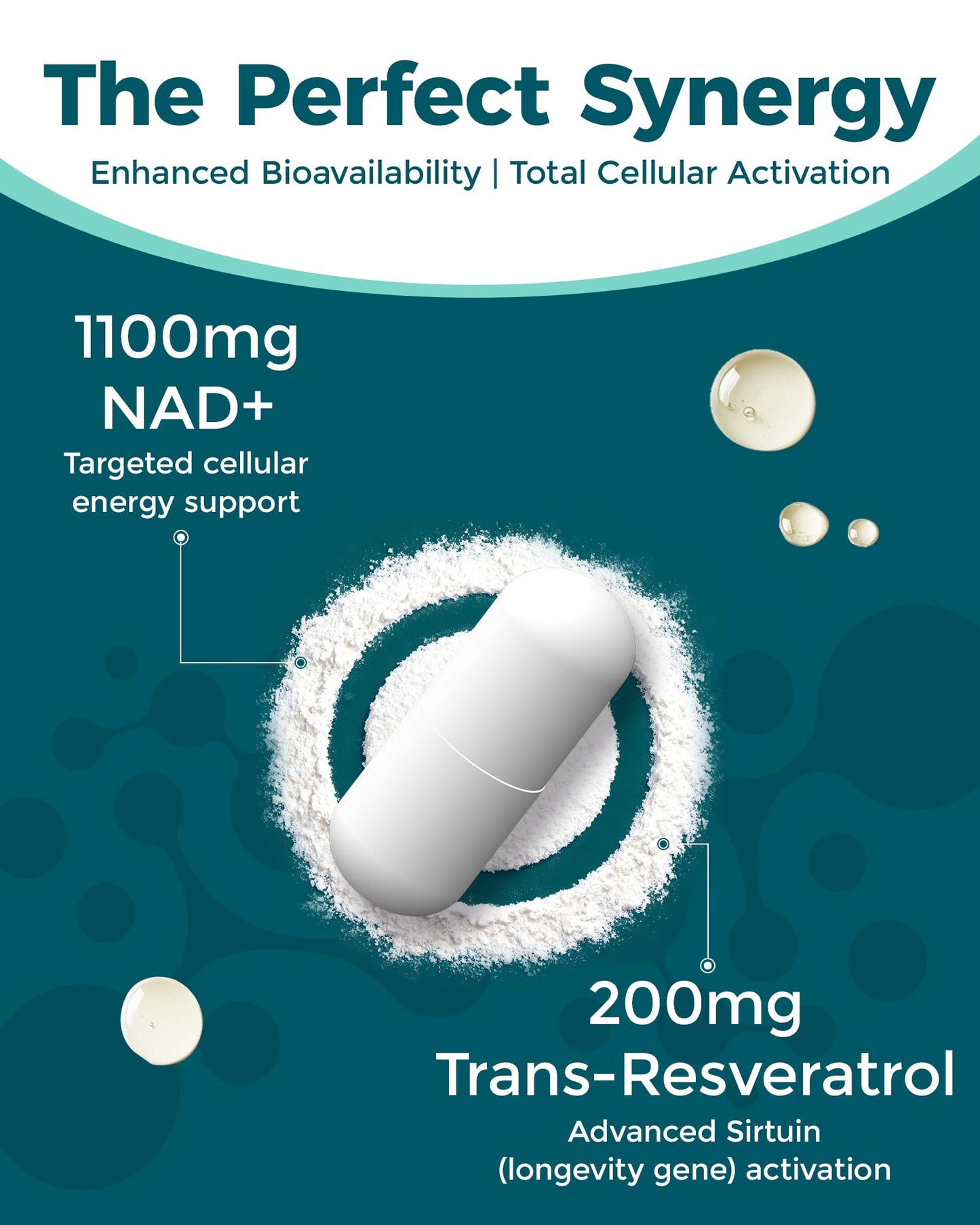Koalatree Liposomal NAD+ Supplement with Trans-Resveratrol 1100mg Capsule, 58 Count