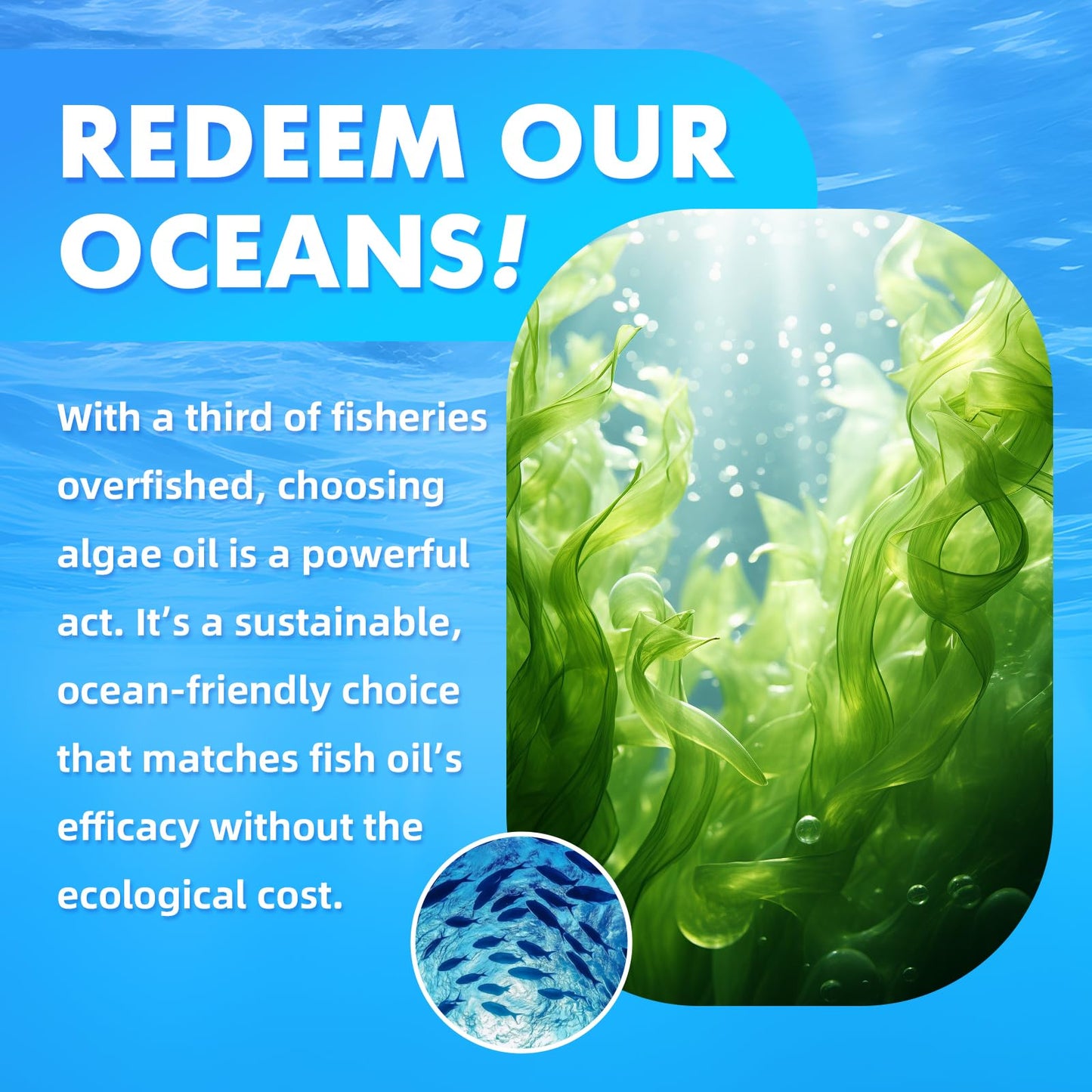 BVIVLOO Vegan Omega-3 Gummies 2