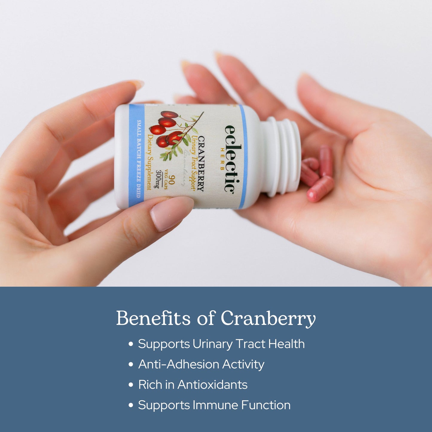 Eclectic Institute Premium Freeze Dried Cranberry Capsules, Urinary Tract Support, 90 Count