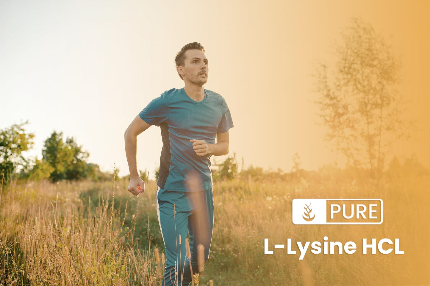 Pure Original Ingredients L-Lysine HCl Powder, 16 oz