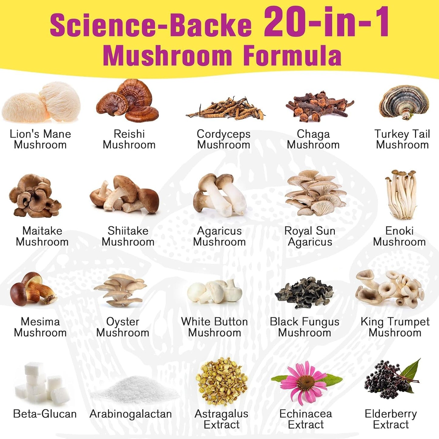 Dmeisy Mushroom Powder 5.3 oz