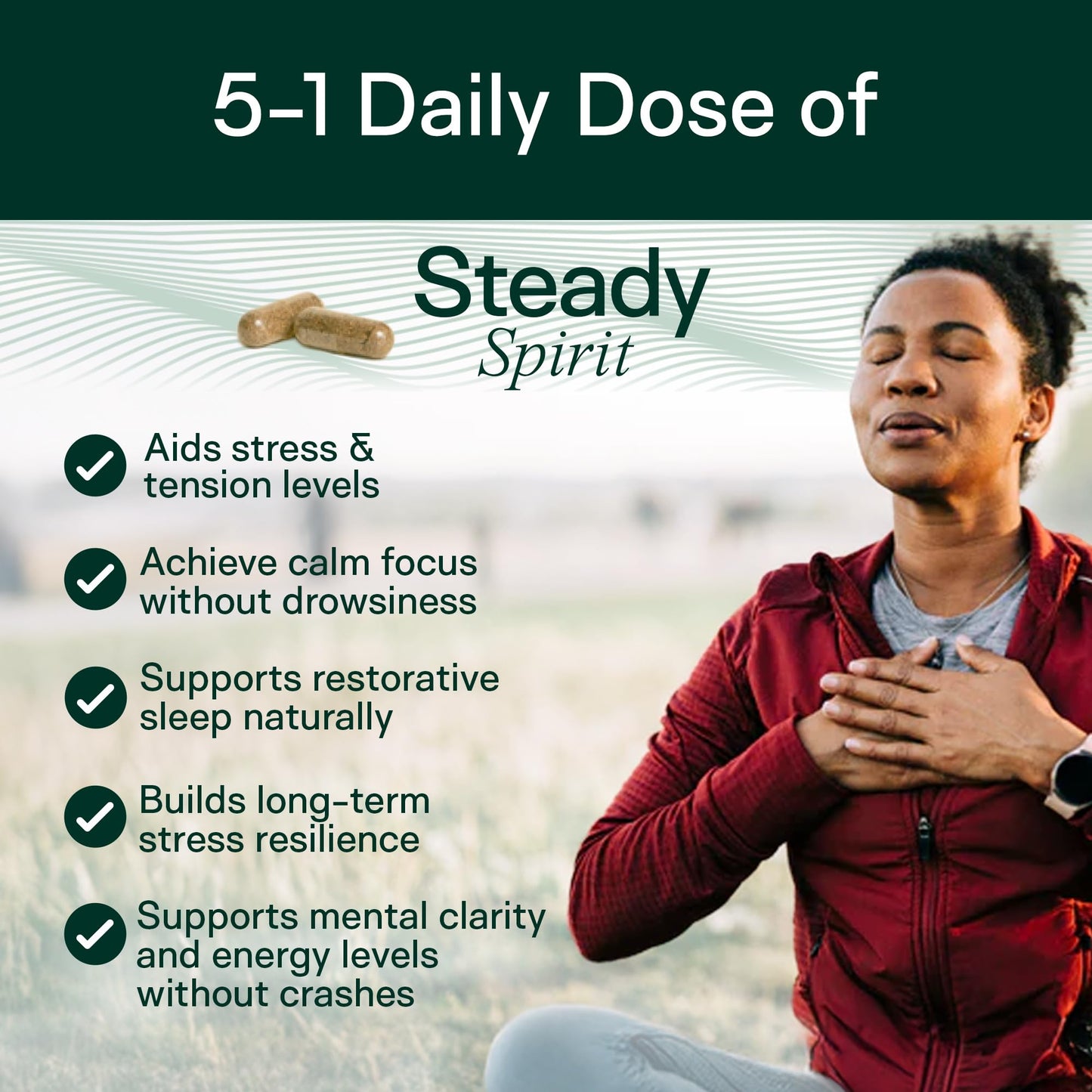 Adapt Naturals Steady Spirit Stress, Anxiety & Mood Support Capsule 60 Count