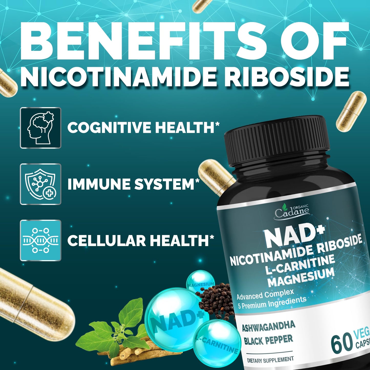 Organic Cadane Nicotinamide Riboside with L-Carnitine, Magnesium Glycinate, Ashwagandha, 60 Capsules