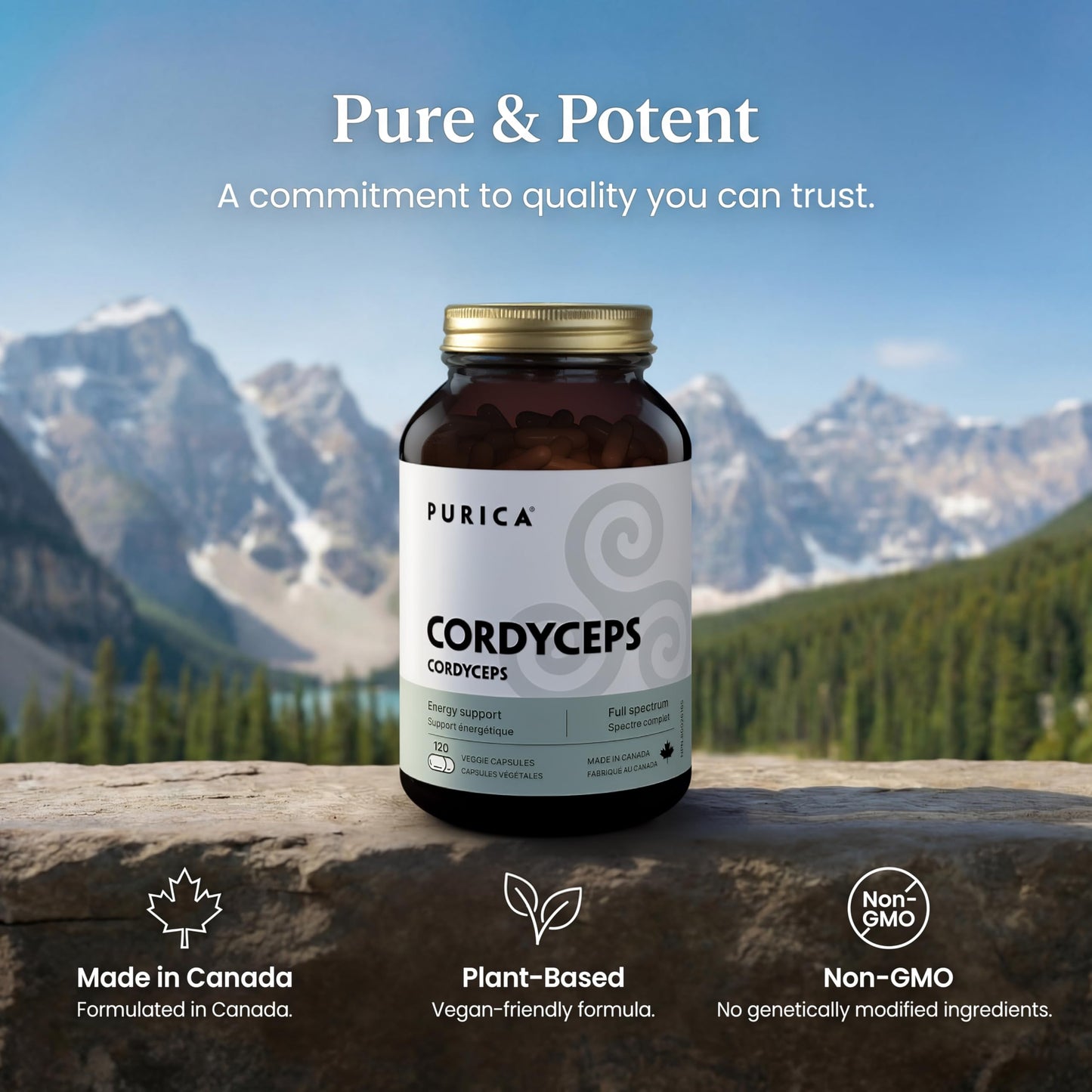PURICA Cordyceps Mushroom Supplements Capsules 120 Count