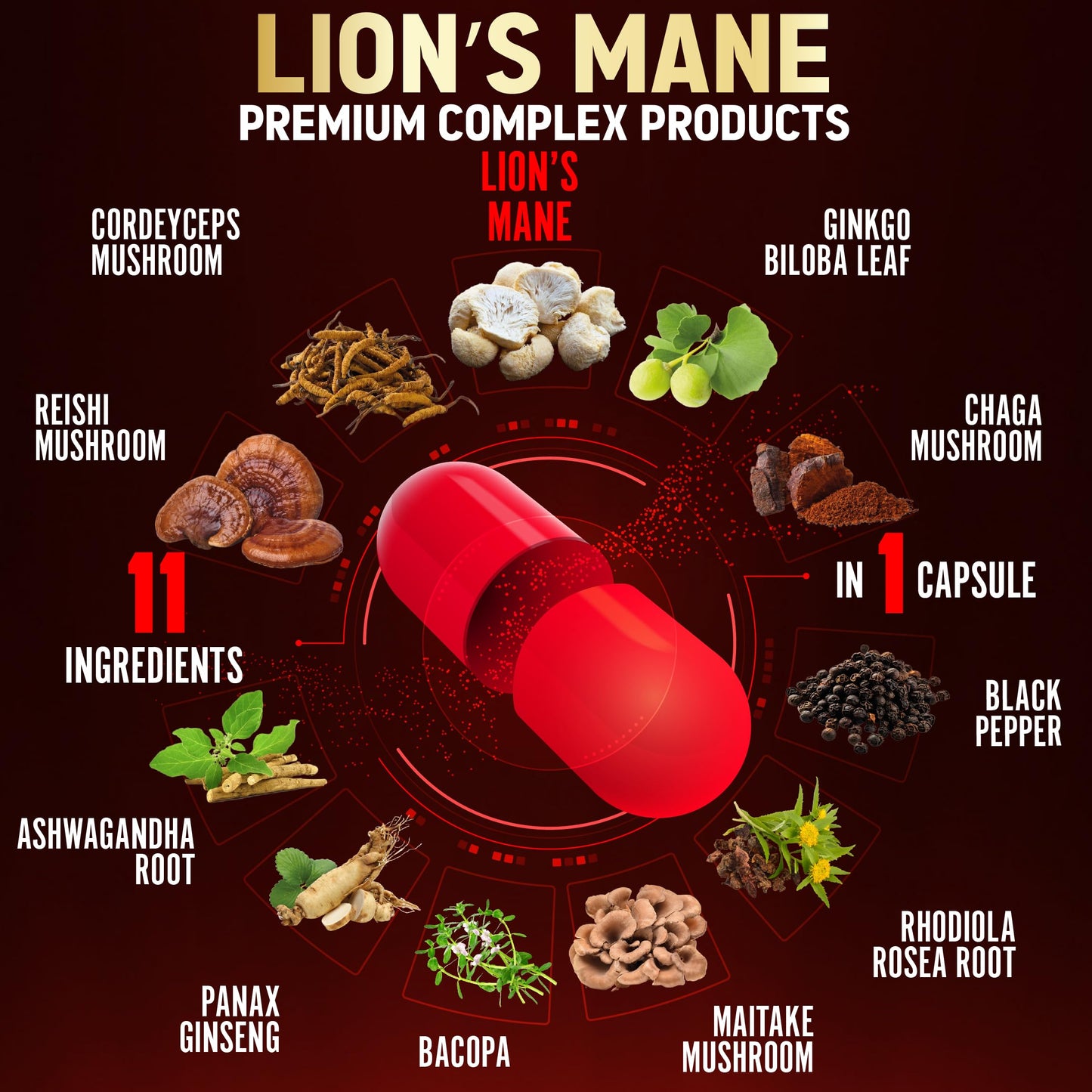Zolotus Lions Mane Mushroom Supplement with Cordyceps, Reishi, Ashwagandha, Brain and Focus Support, Immune Support, 180 Capsules