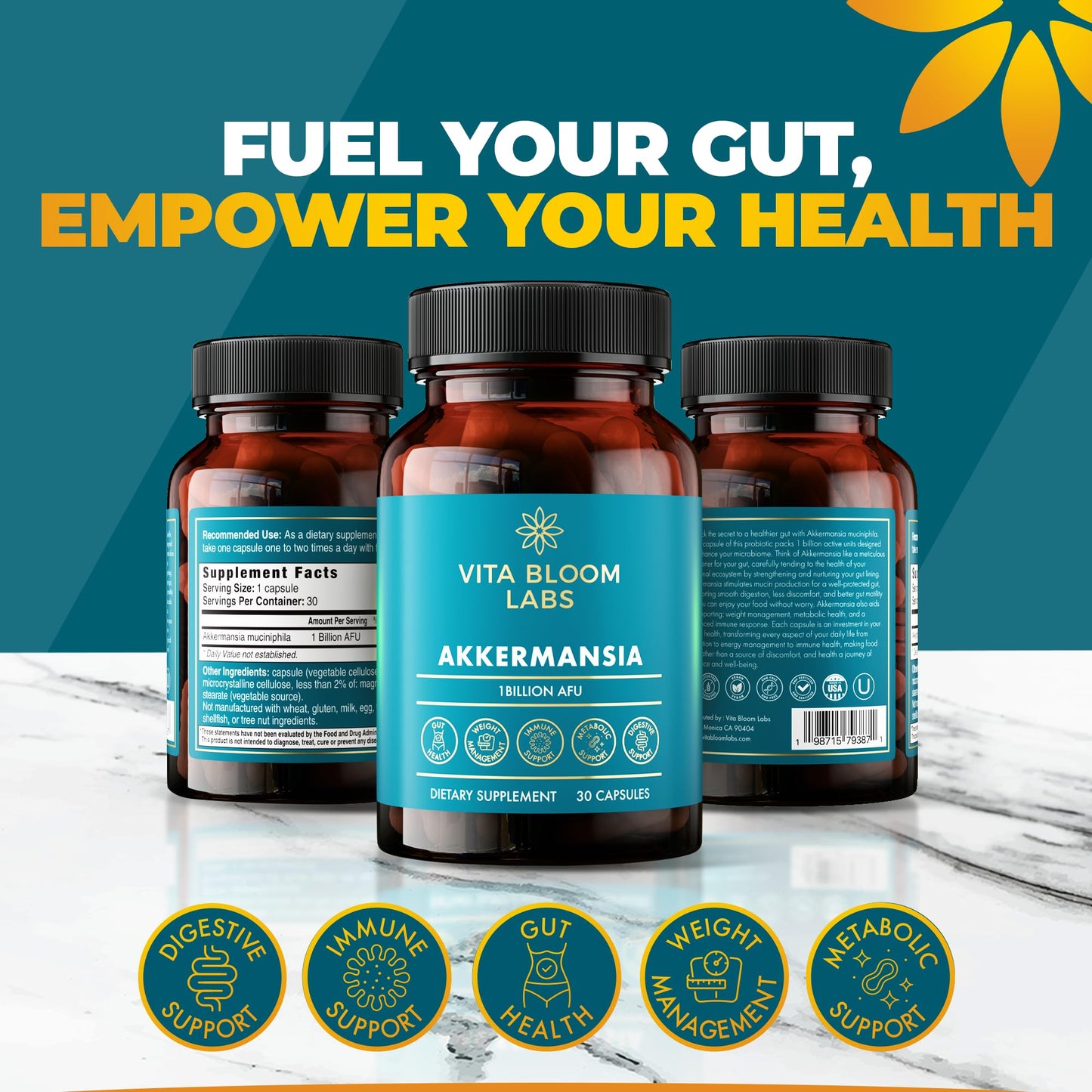 Vita Bloom Labs Akkermansia Probiotic Supplement Capsules 30 Count