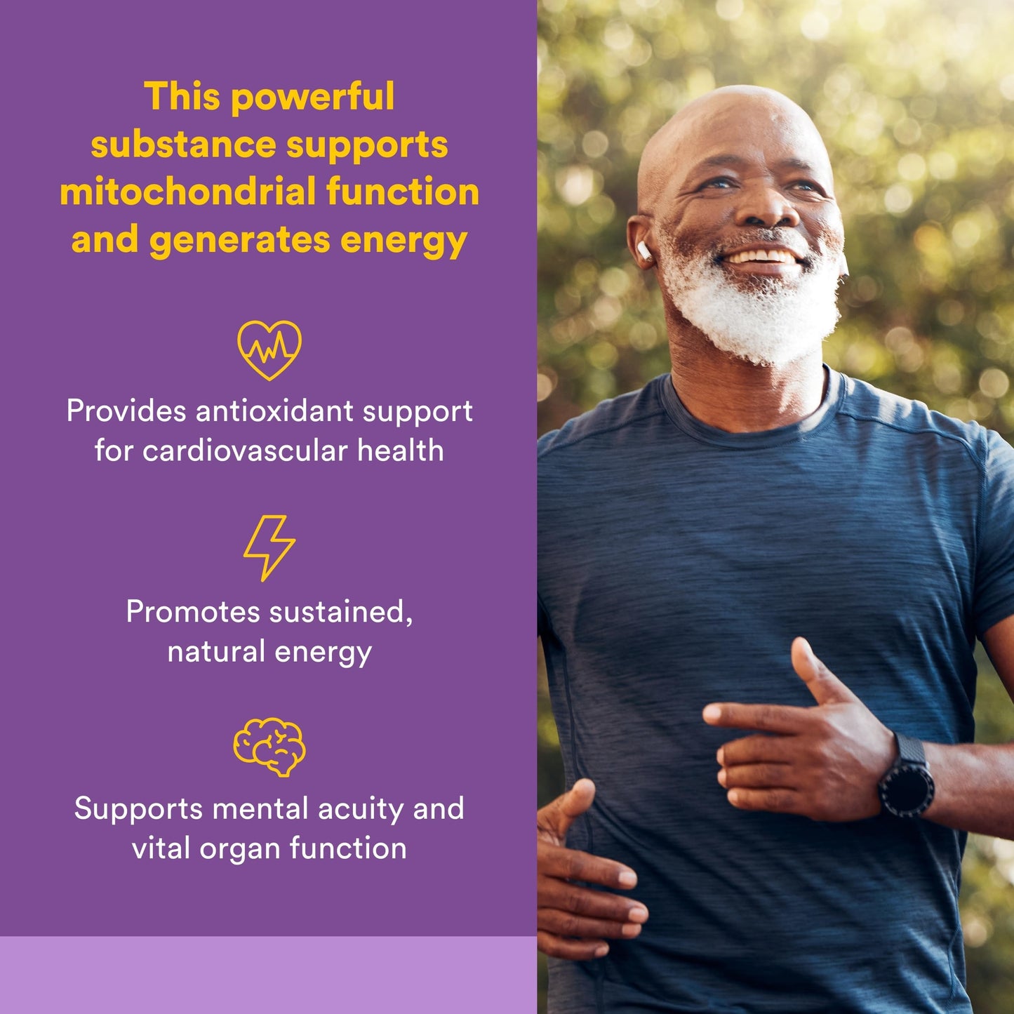 Natural Factors Coenzyme Q10 Softgels 240