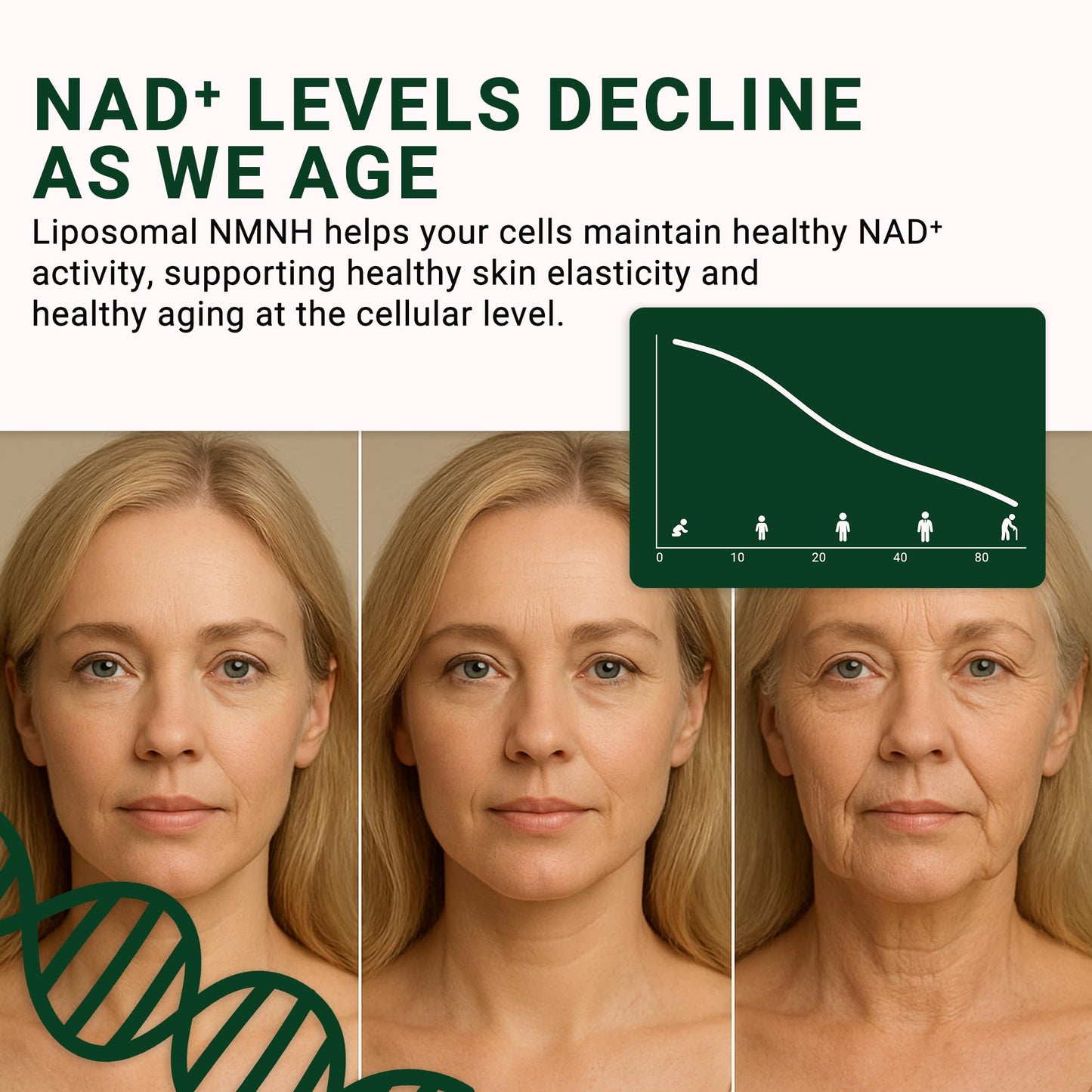GenuinePurity NMNH NAD Supplement Capsule 1 Count