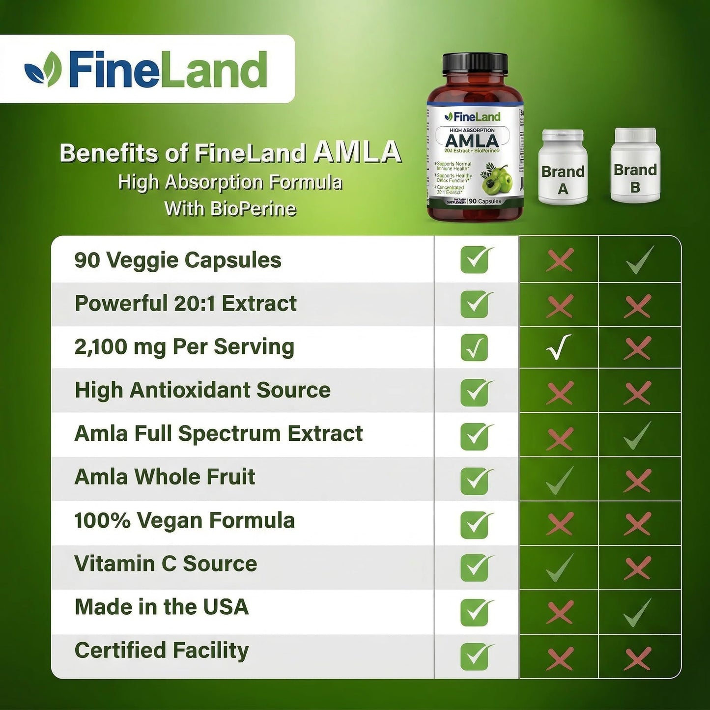 FineLand Amla (Indian Gooseberry) Full Spectrum Extract with BioPerine for Absorption, Immune & Digestive Support, 90 Capsules