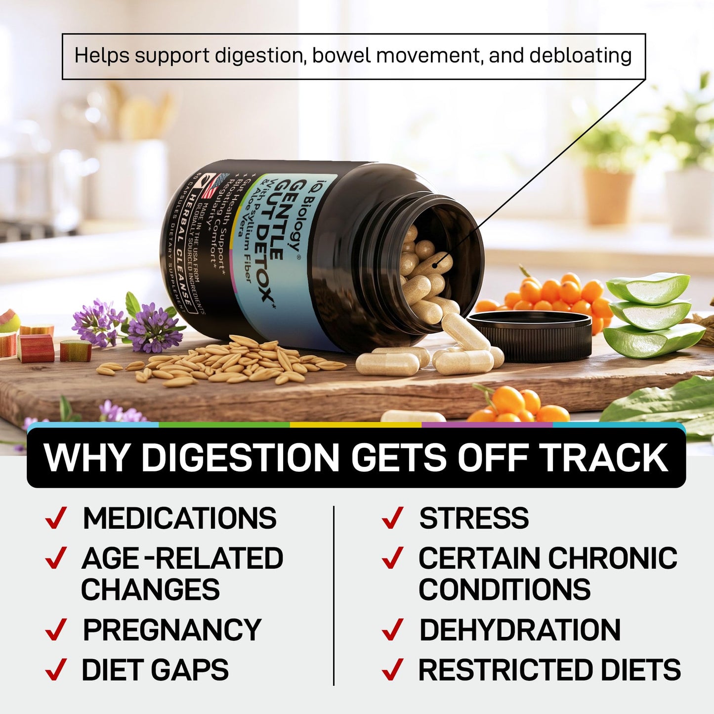 IQ BIOLOGY Gut Health Supplement Capsule 60