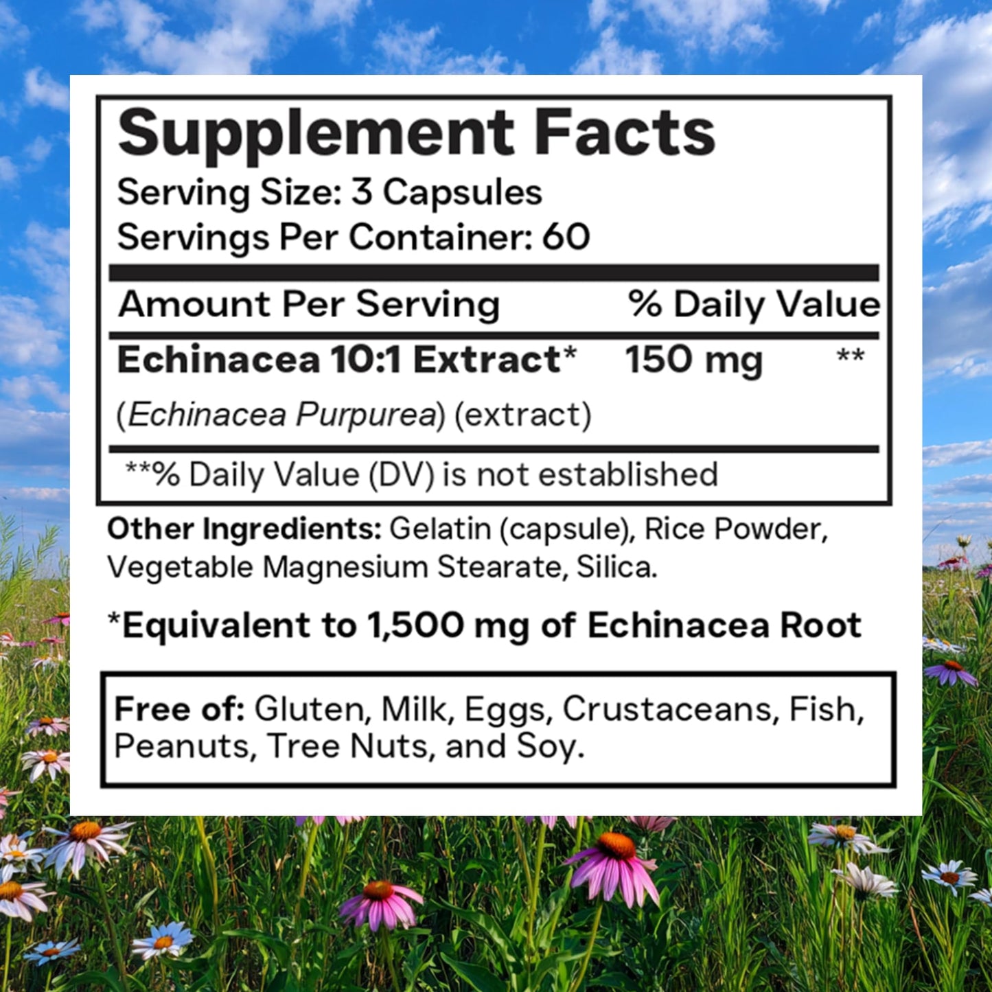 tnvitamins Echinacea Capsules 180 Count