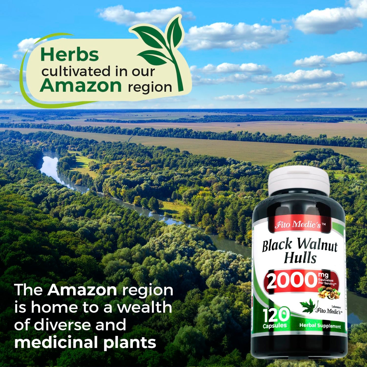 FITO MEDIC'S Black Walnut Hull Capsule 2000 mg per Serving for Cleansing and Detoxifying Ultra High Absorption, 1 Capsule