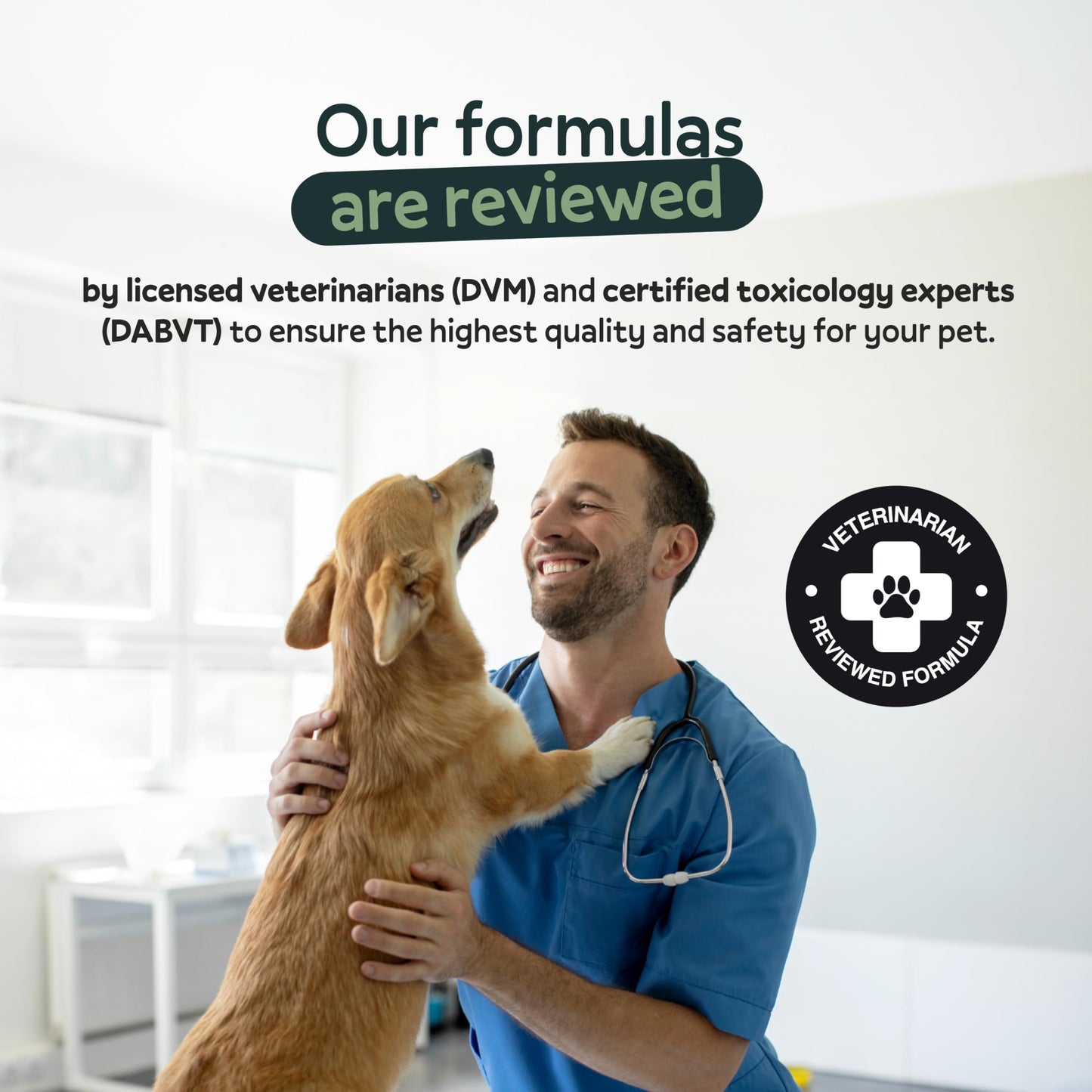 Oliver's Gut Dog Multivitamin Soft Chew, 9 Count