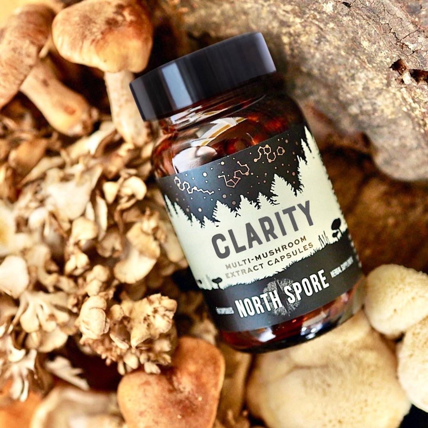 North Spore Organic Clarity High Potency Mushroom Capsules, 60 Count
