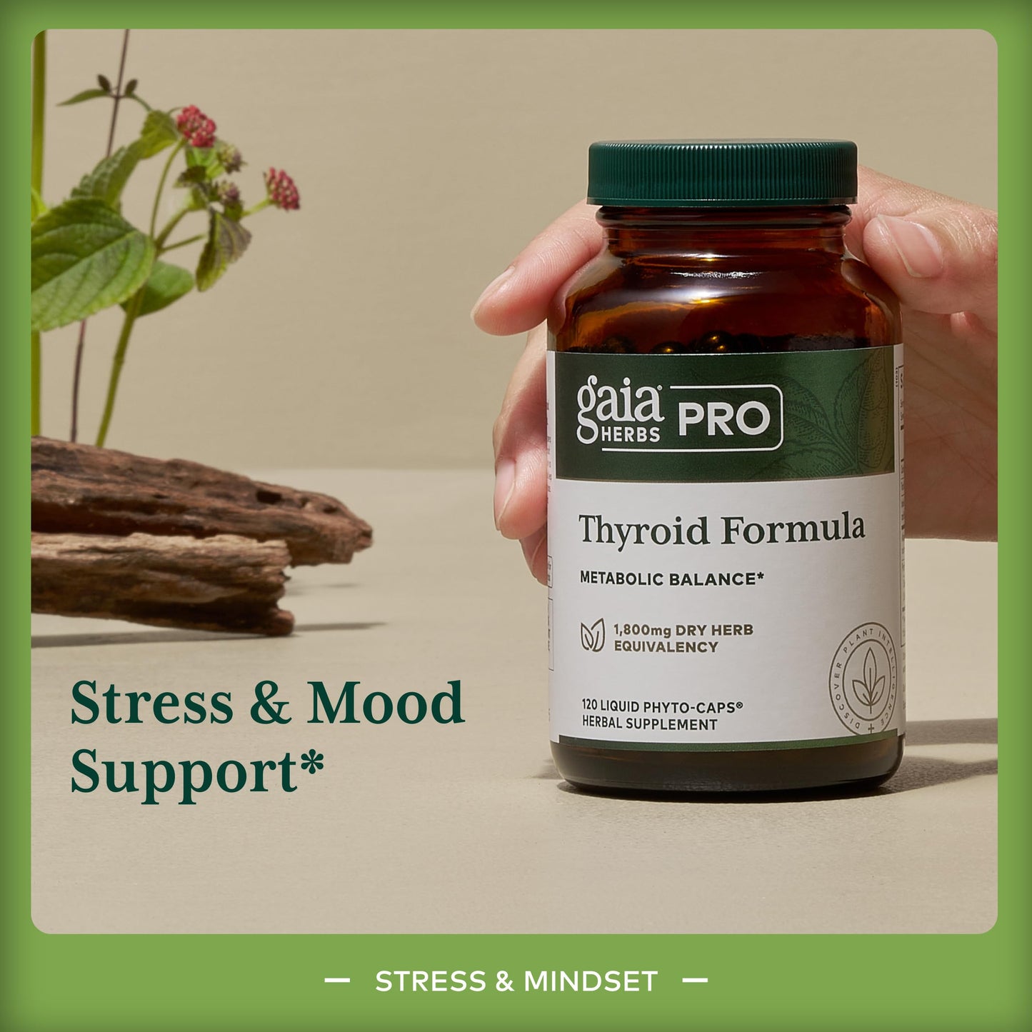 Gaia Herbs PRO Thyroid Formula 60 Capsules