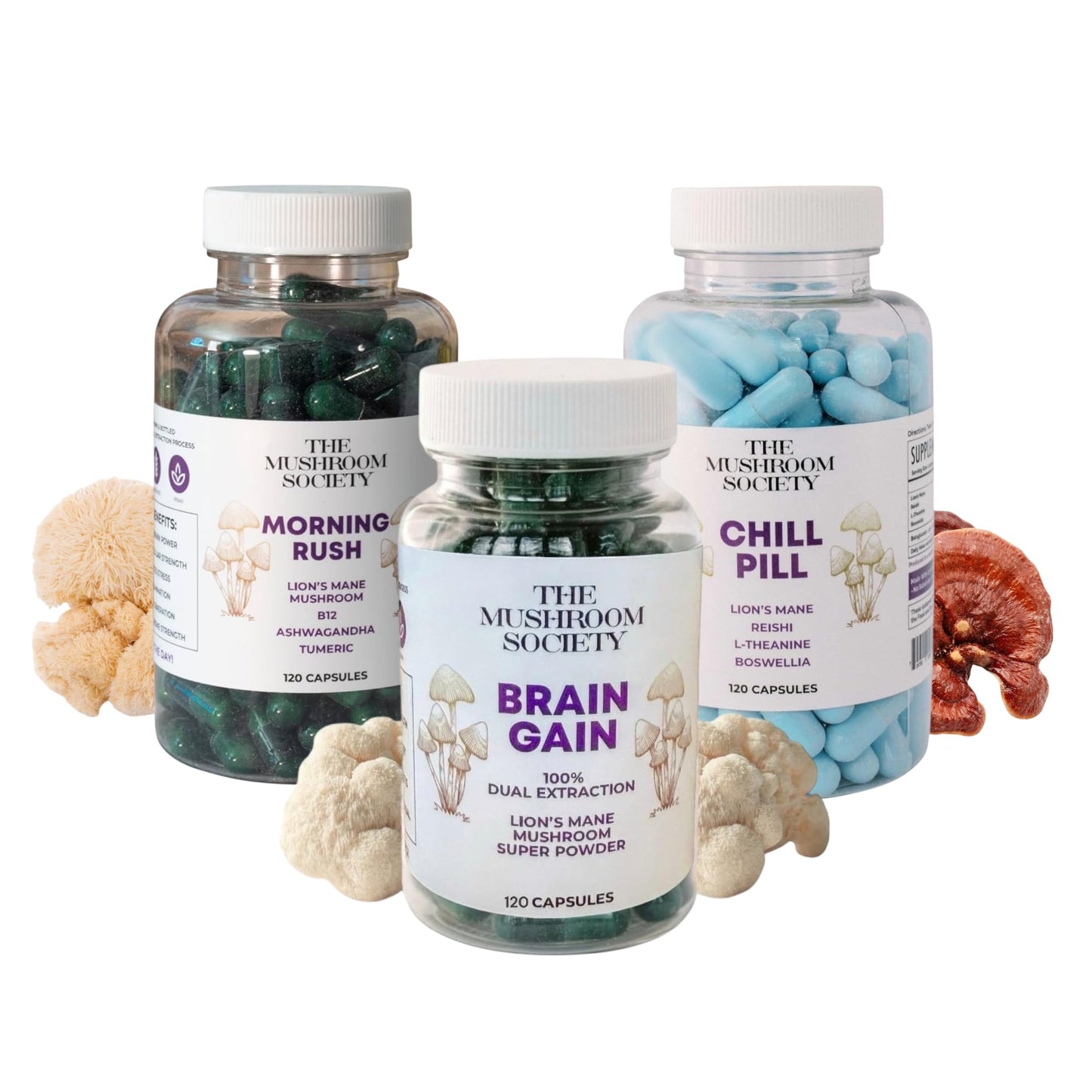 The Mushroom Society Lion Mane Power Capsules 360 Capsules