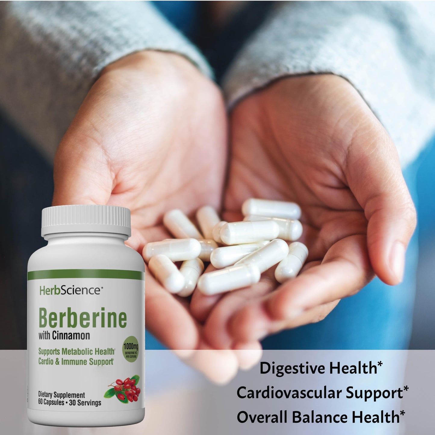 Windmill Berberine 1000mg Per Serving Capsules, 60 Capsules