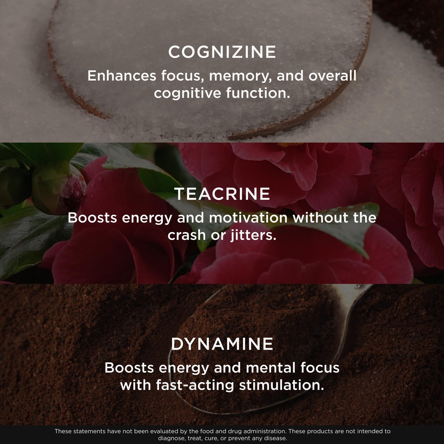 The Genius Brand Genius Gamer Capsule 80 Capsules