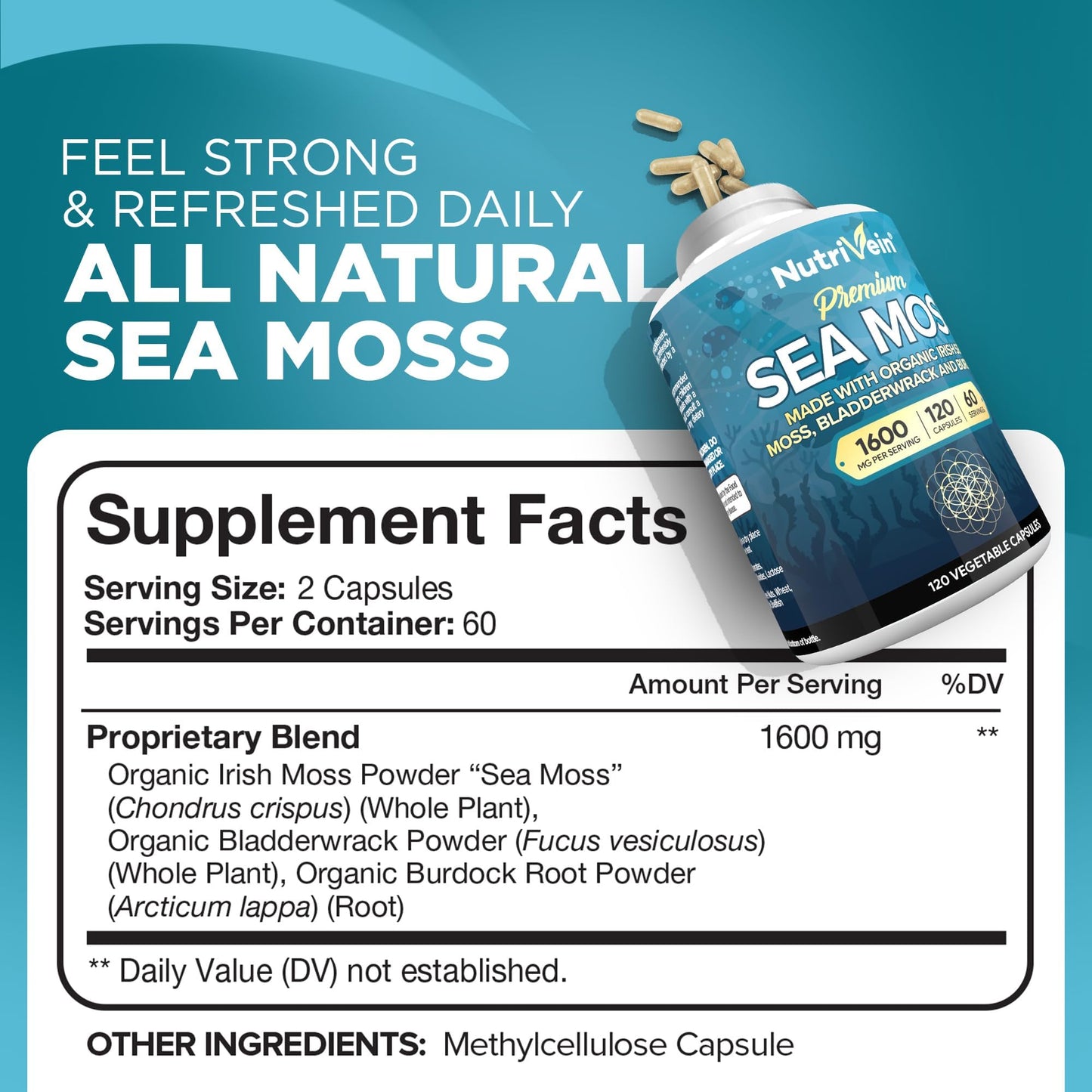 Nutrivein Premium Irish Sea Moss & Berberine Capsules Bundle, 240 Capsules