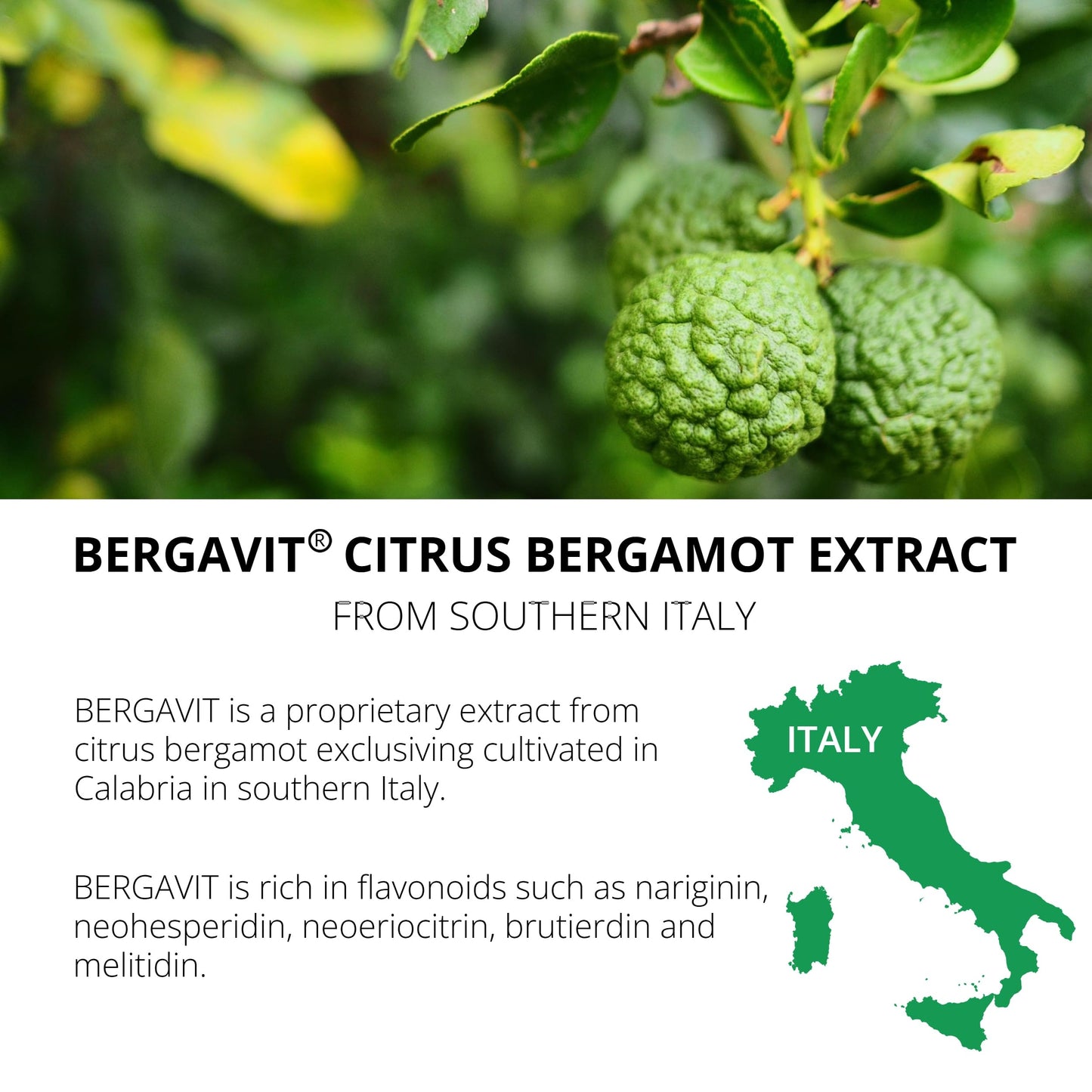 UpNourish Bergavit Citrus Bergamot Cholesterol Supplement Softgels 90