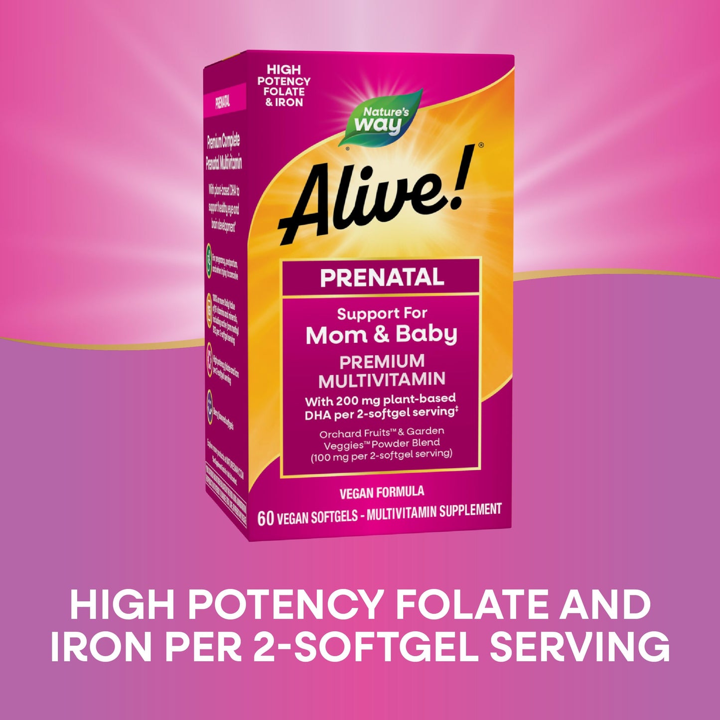 Nature's Way Alive! Complete Premium Prenatal Multivitamins for Women, Healthy Eye and Brain Development*, 60 Softgels