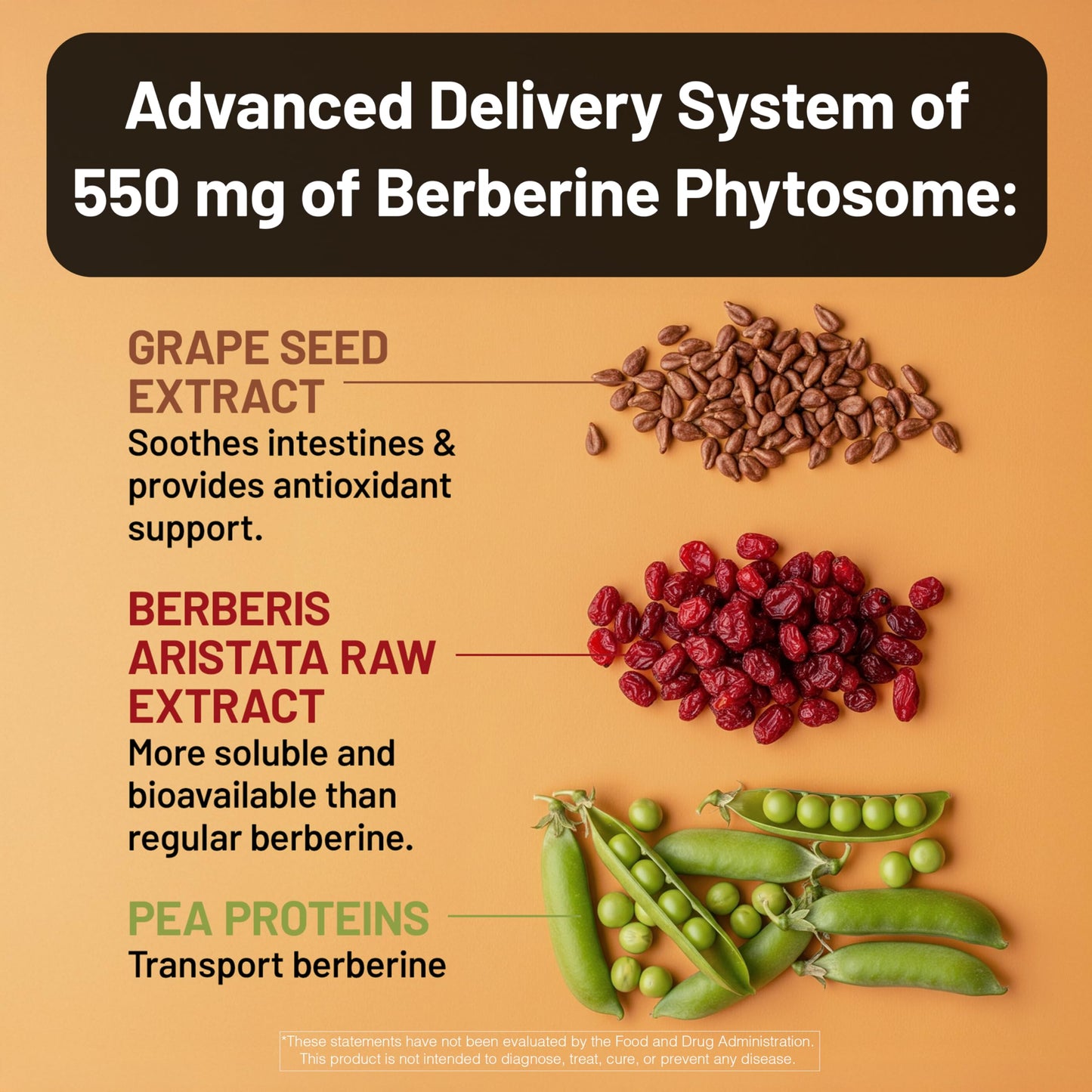 NatureWise Berberine 1000mg Berberine Phytosome + HCI + Turmeric & Digestive Enzymes Capsules, 60 Count
