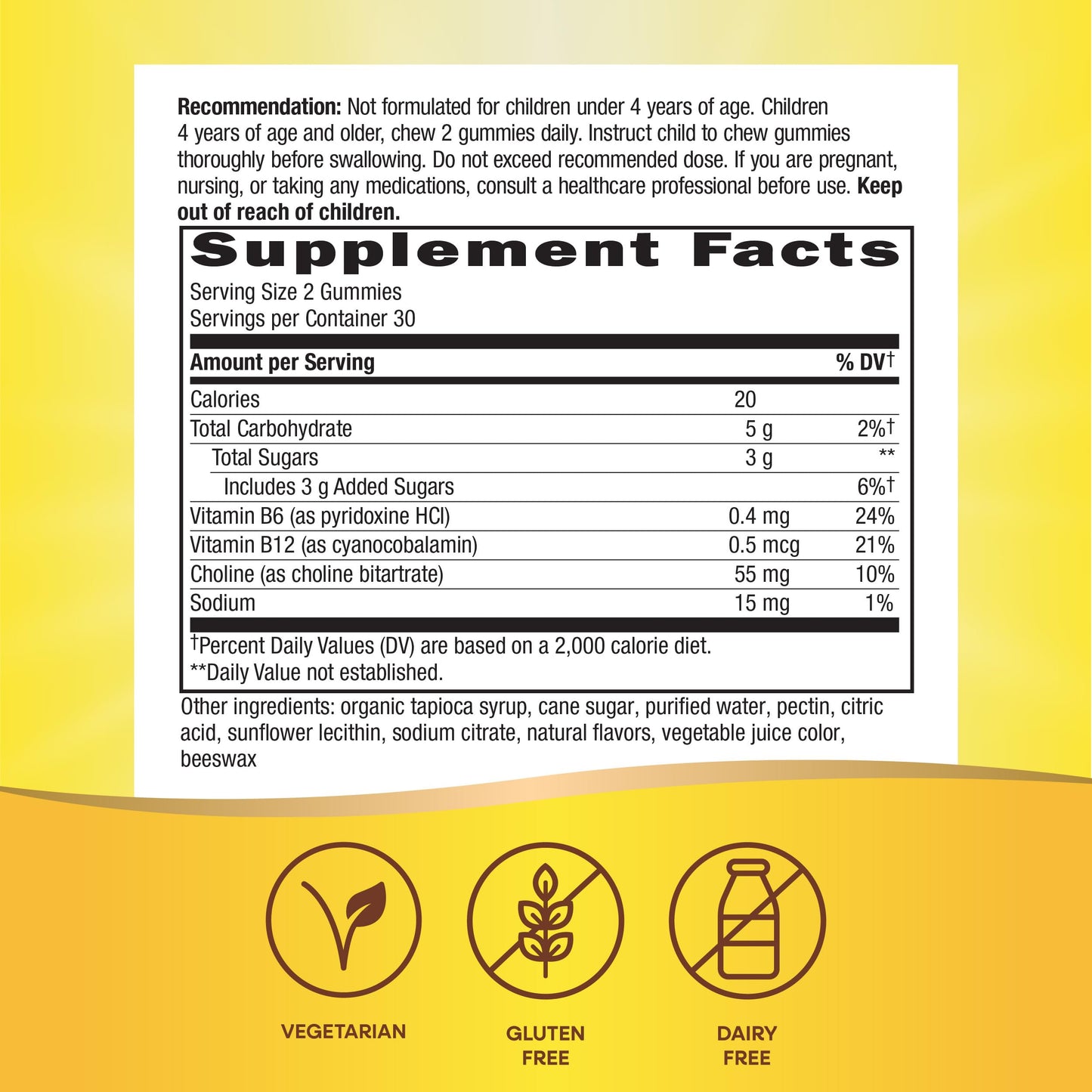Nature's Way Kids Brain Supplement Gummies 60 Gummies