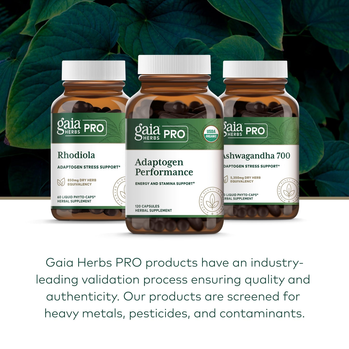 Gaia Herbs PRO Adaptogen Performance - Endurance & Energy Support with Cordyceps & Ashwagandha Extract, 120 Capsules